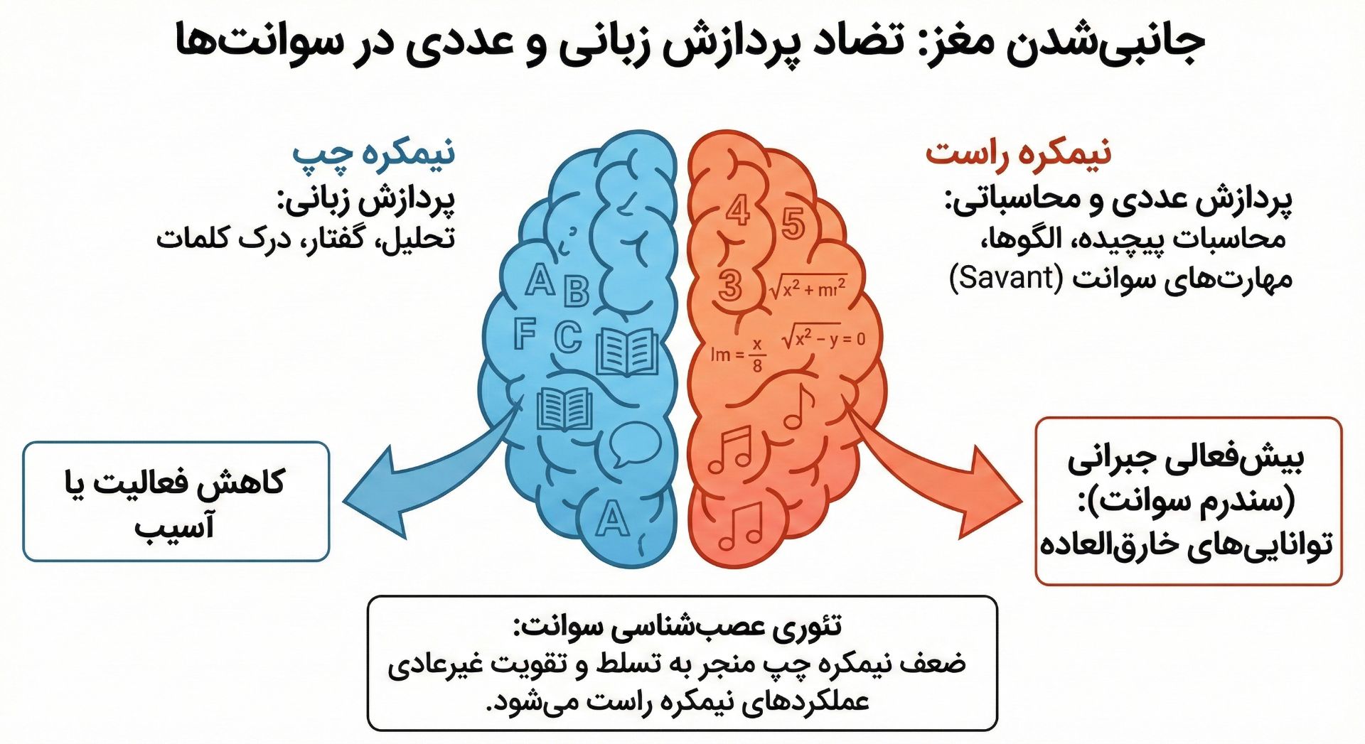 تفاوت عملکرد نیمکره‌های مغز