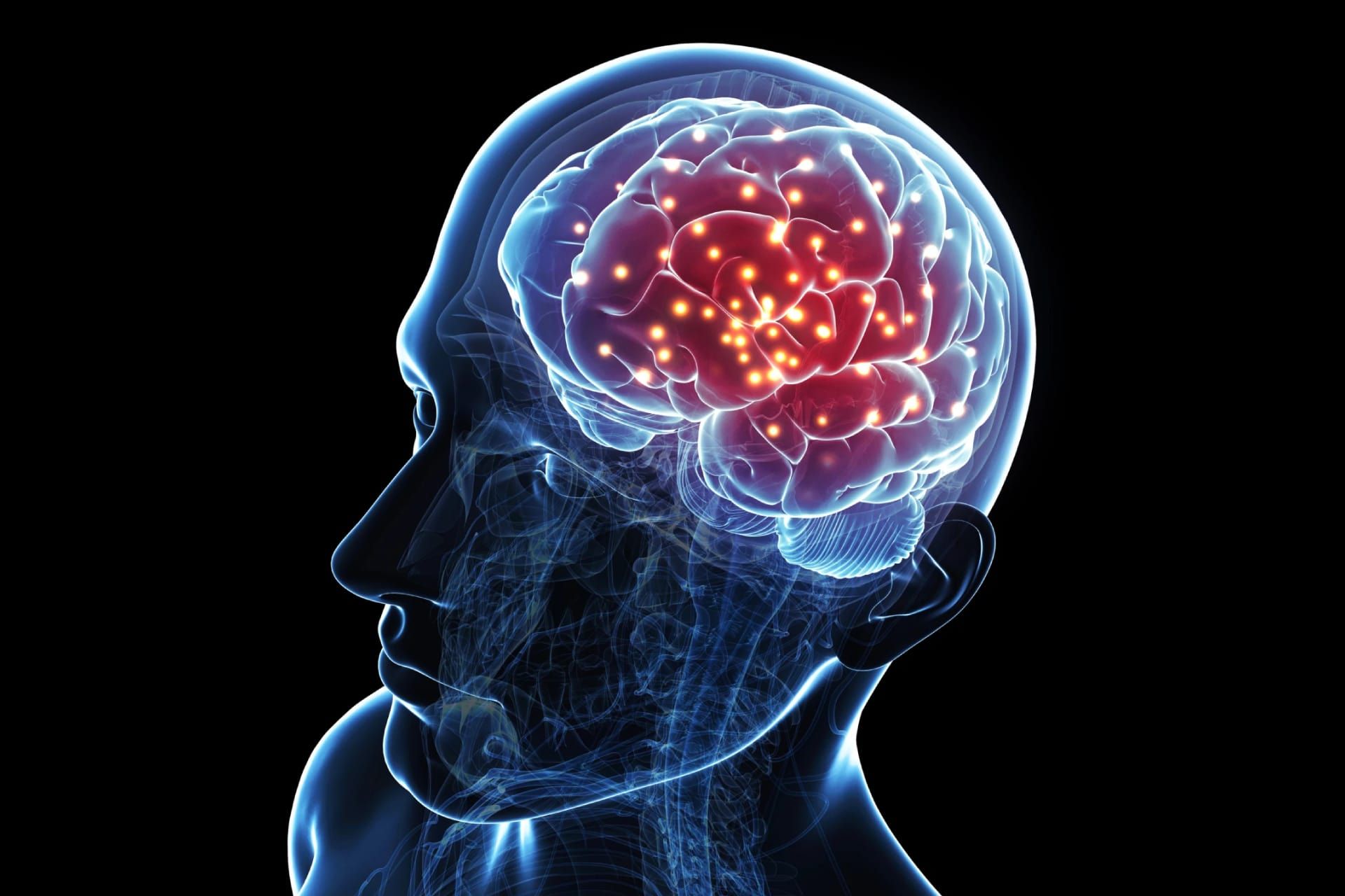 تصویرسازی بدن انسان و مغز زمینه سیاه