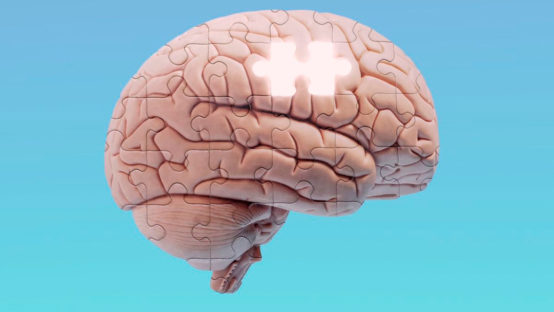 پازل مغز