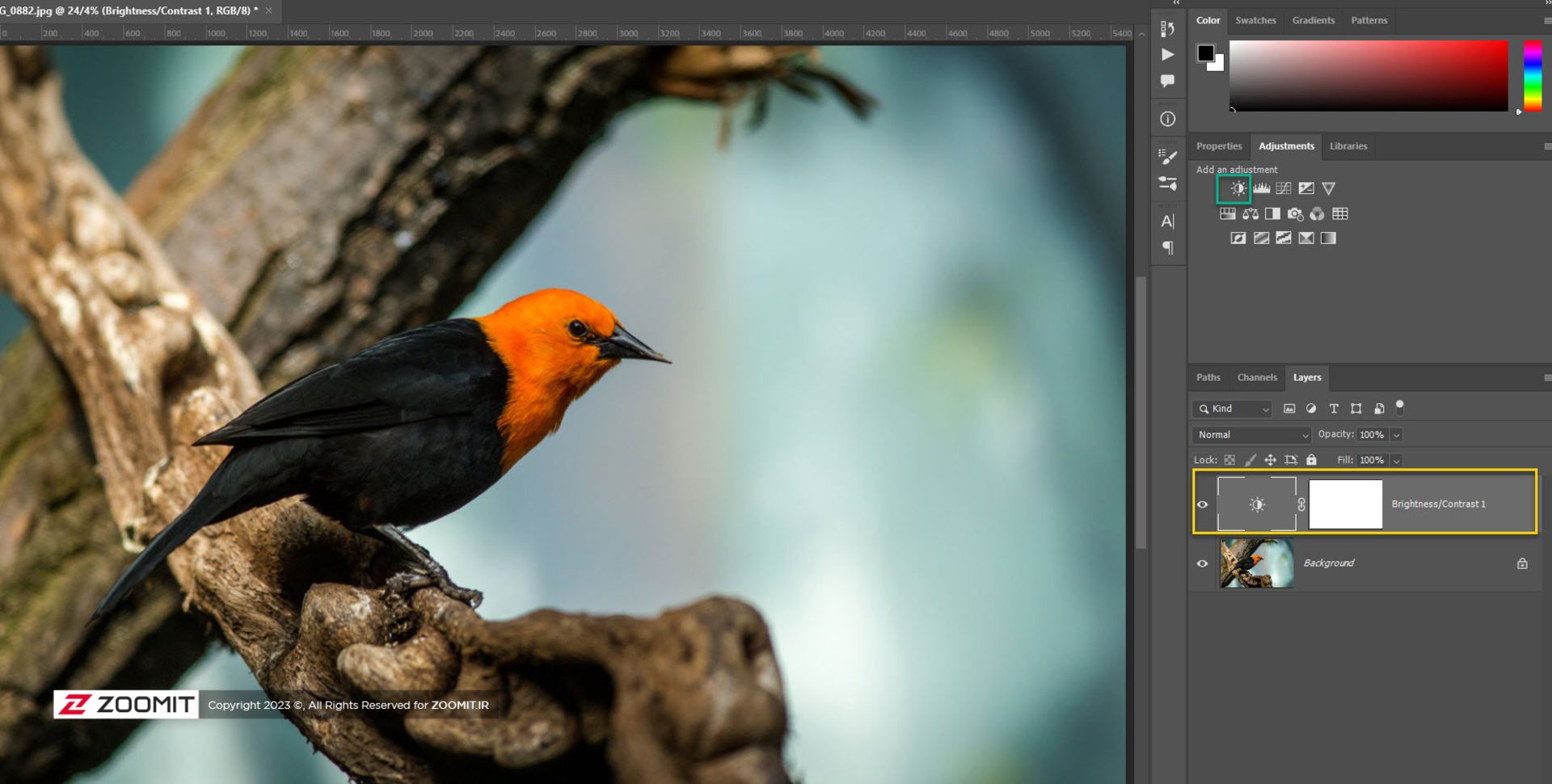 اجاستمنت brightness contrast در فتوشاپ
