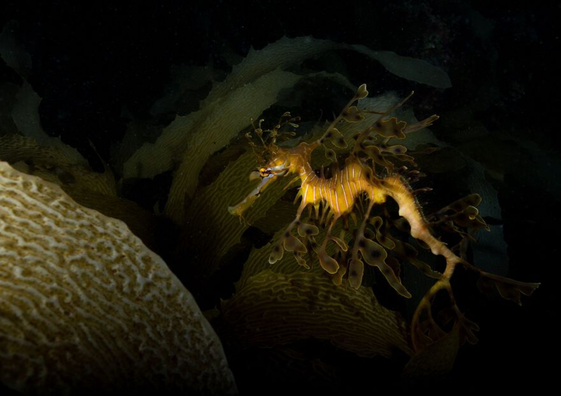 برندگان مسابقه عکاسی توکیو ۲۰۲۳