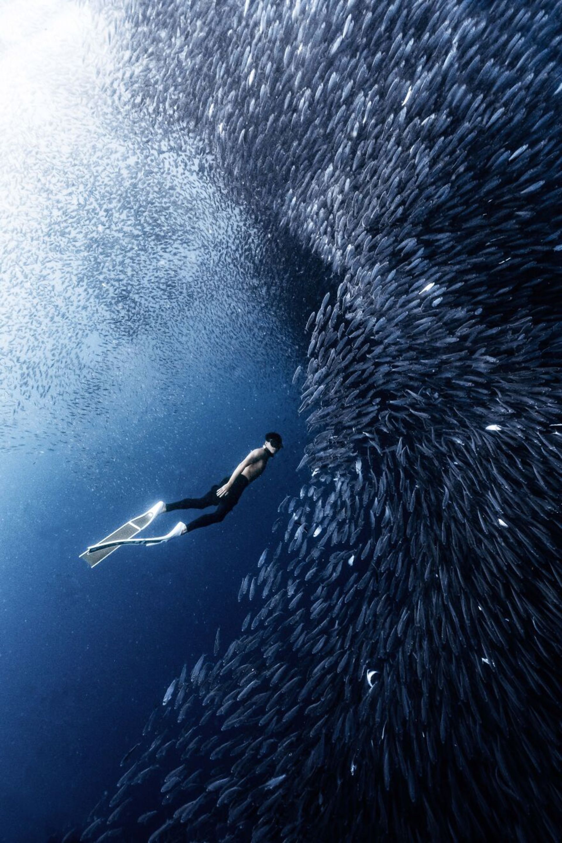 برندگان مسابقه عکاسی توکیو ۲۰۲۳