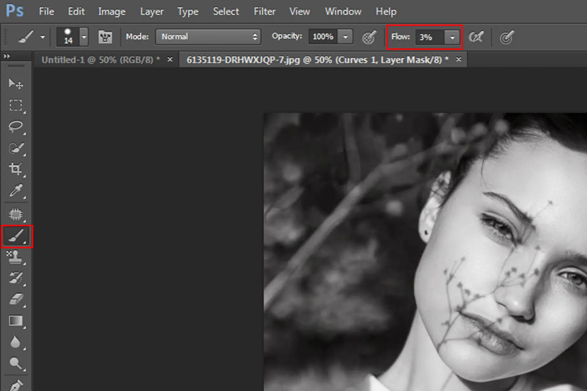 ابزار Brush Tool در فتوشاپ