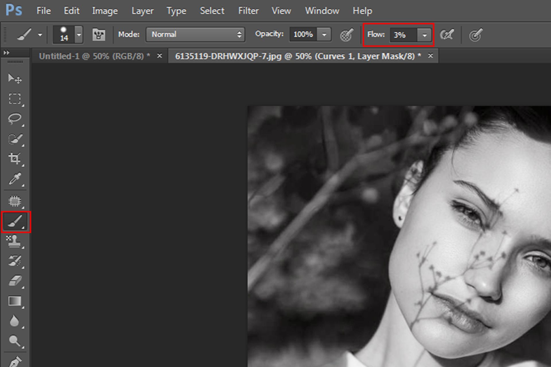 ابزار Brush Tool در فتوشاپ