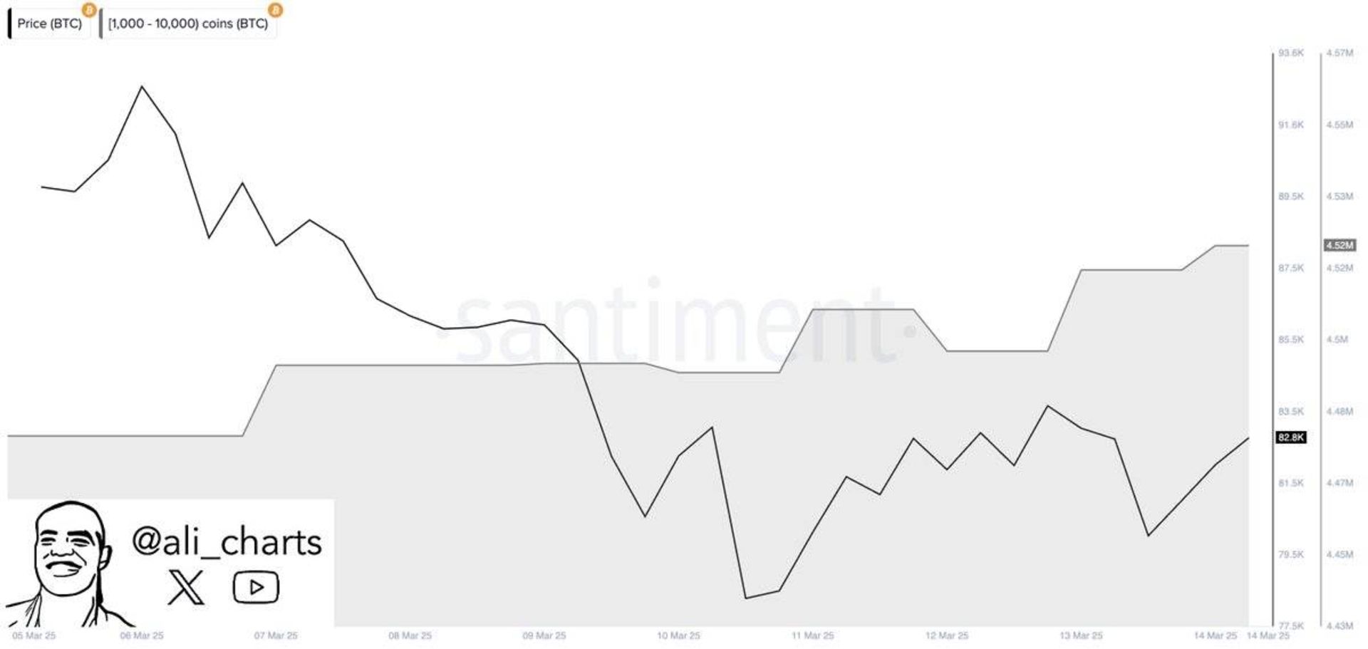 نمودار میزان خرید بیت کوین توسط نهنگ ها