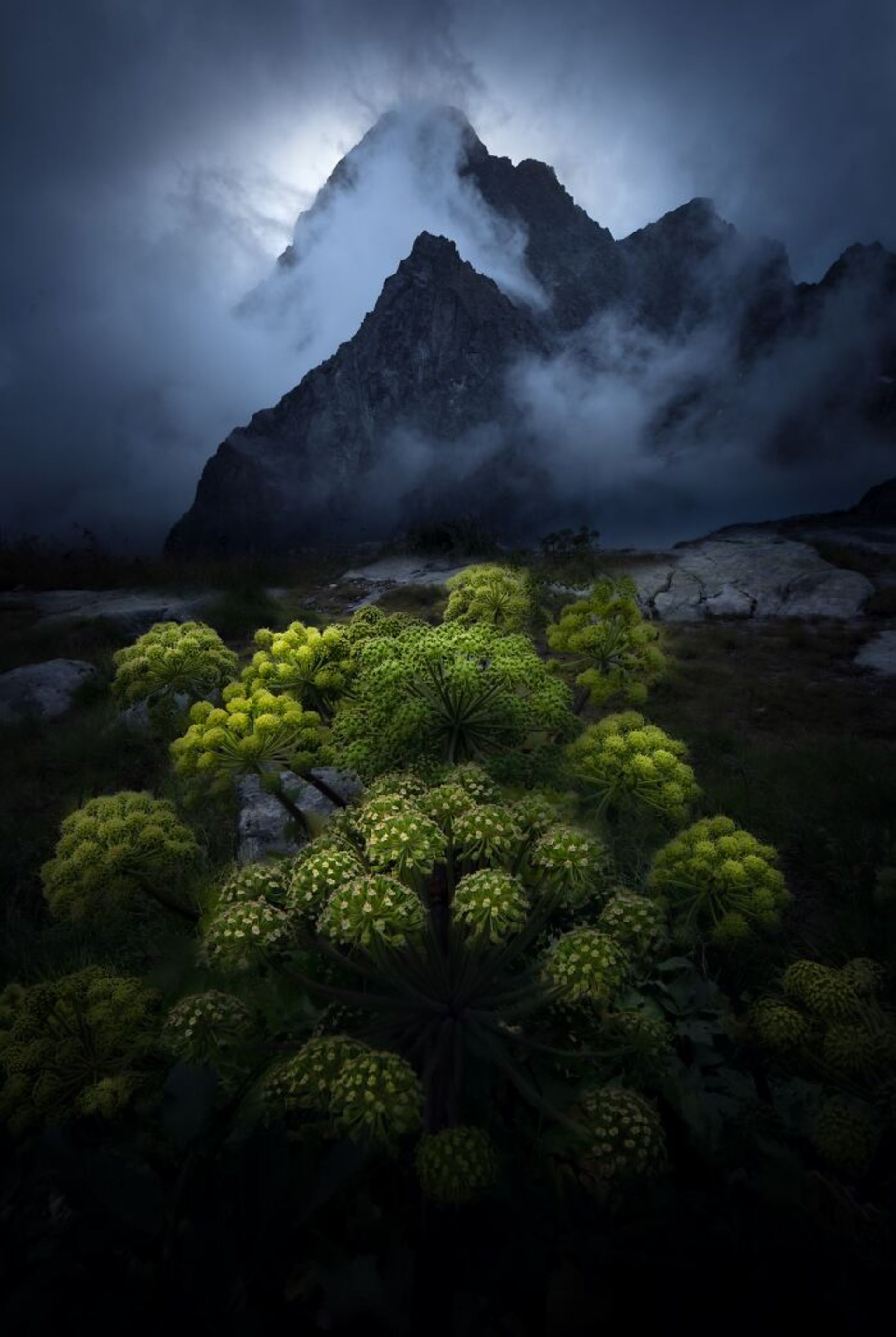 قله های تتراس در صبح بارانی 