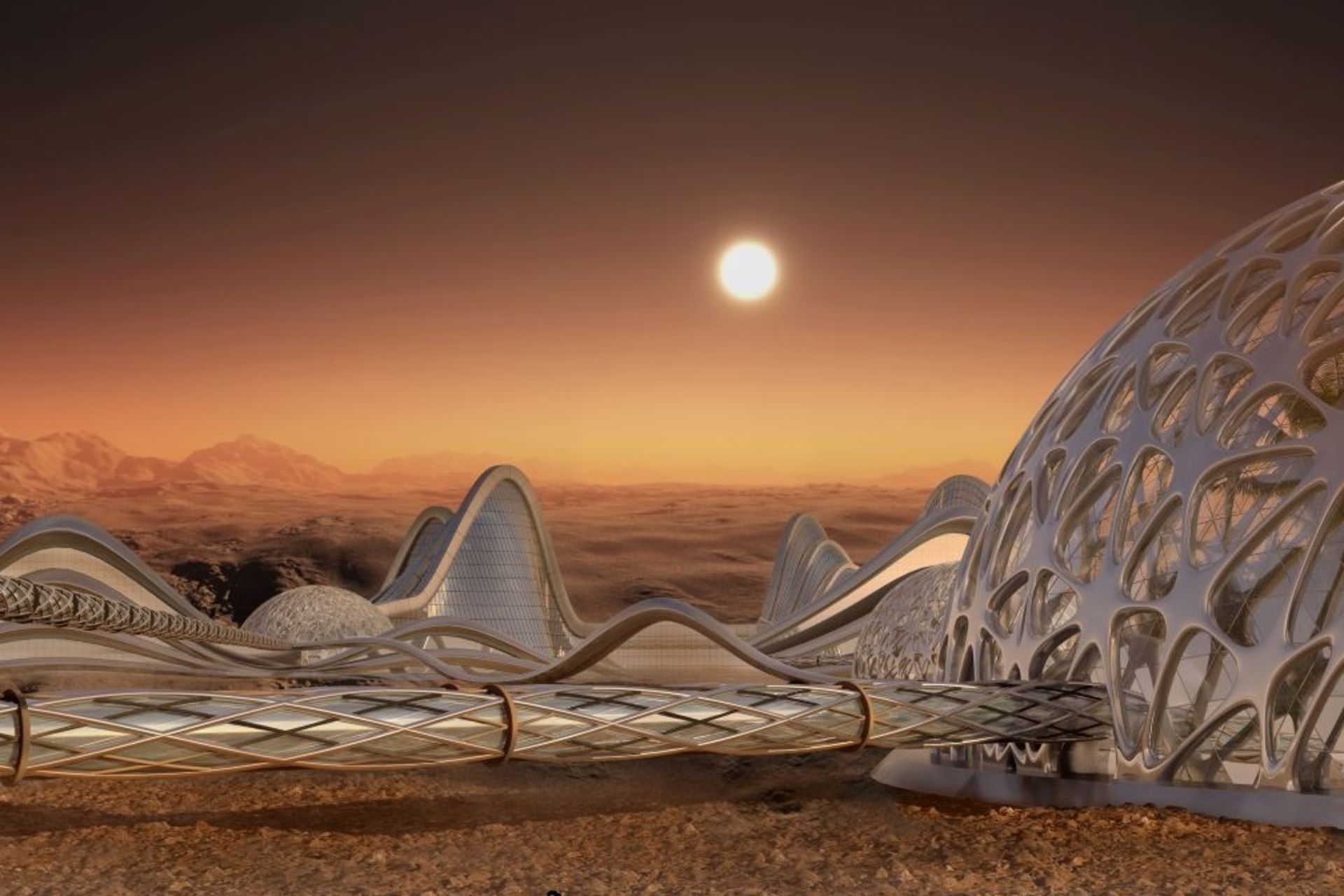 تصویرسازی از زیستگاه‌های آینده در مریخ با جلبک‌های سبز