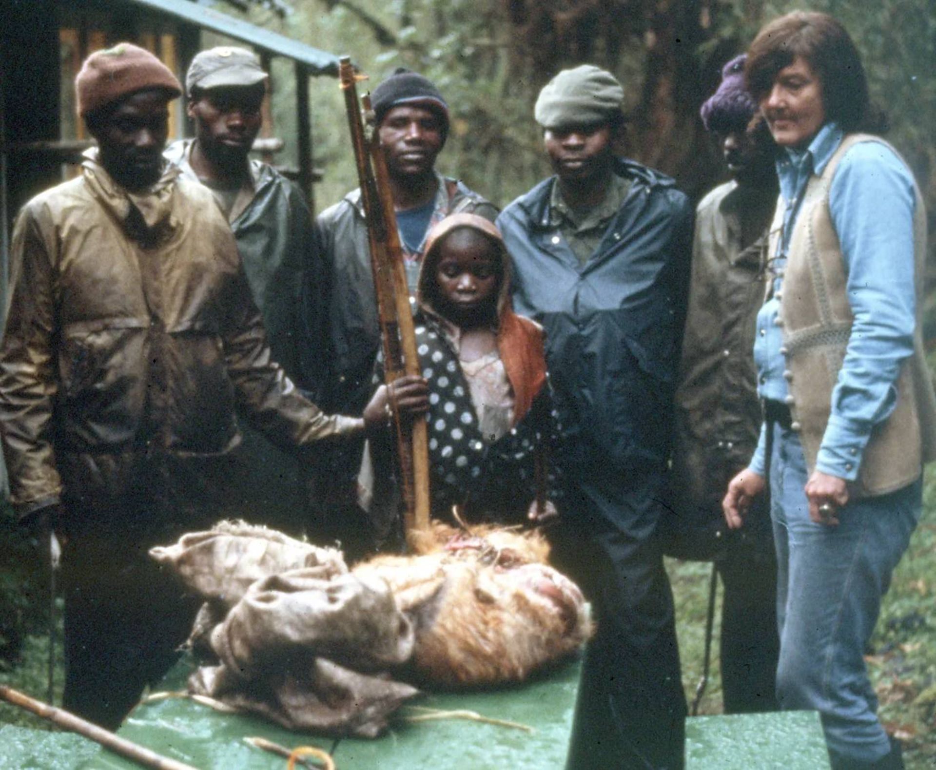 دایان فوسی در کنار جسد گوریل 