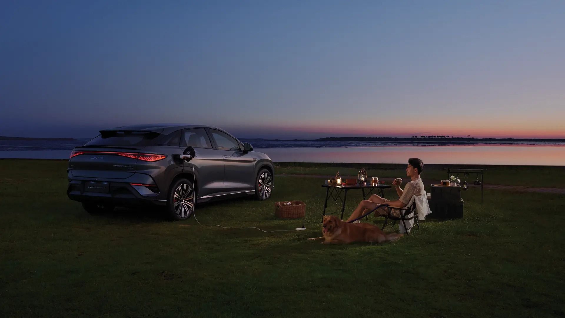 بی وای دی sealion 7