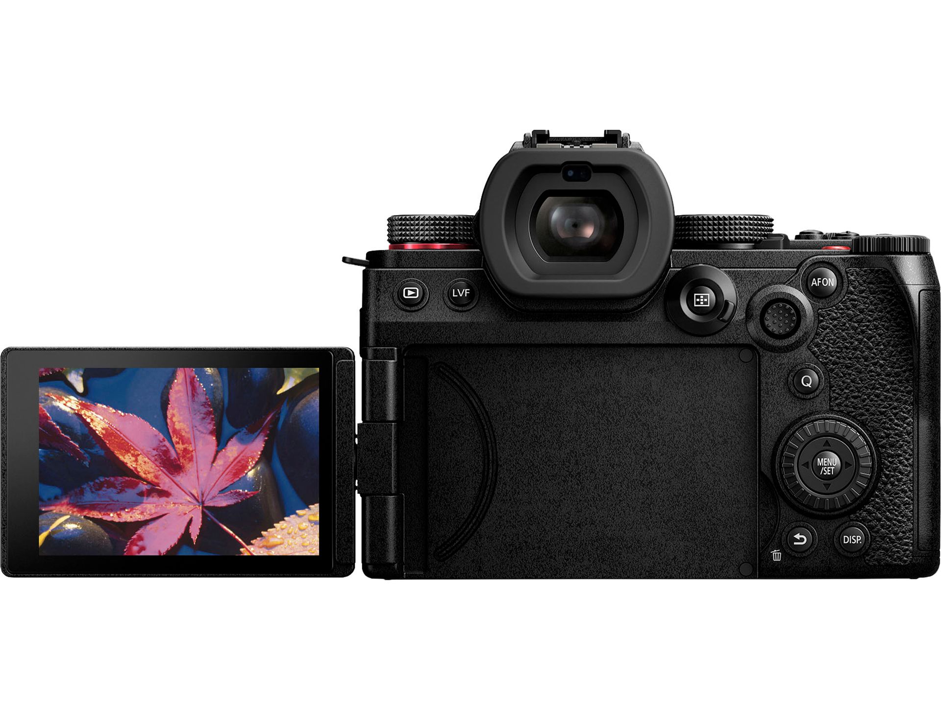 دوربین S5II از نمای پشتی به همراه ویزور بازشده و در حال نمایش تصویر