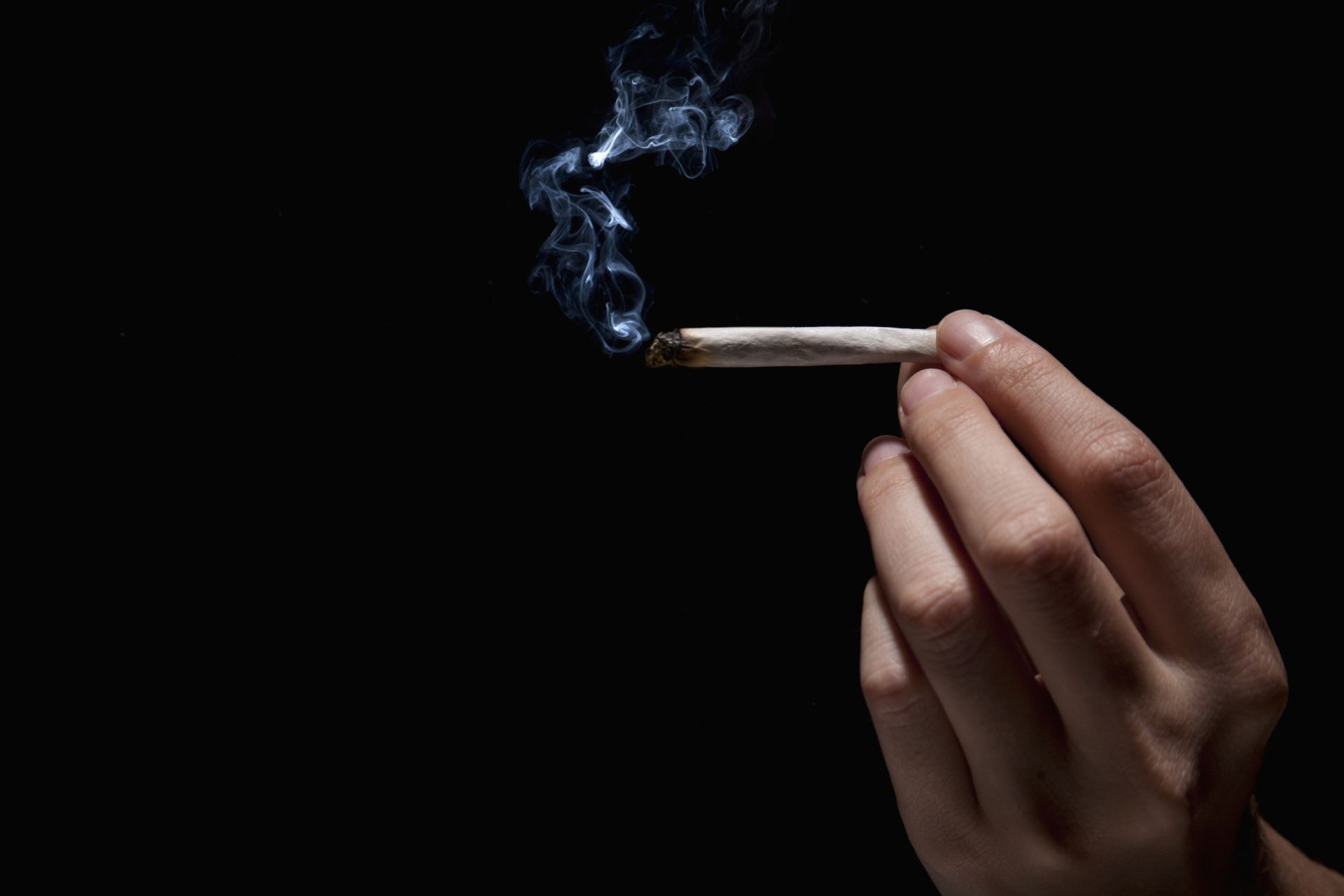 رول سیگار دست‌پیچ کانابیس یا ماریجوانا در دست انسان پس‌زمینه سیاه