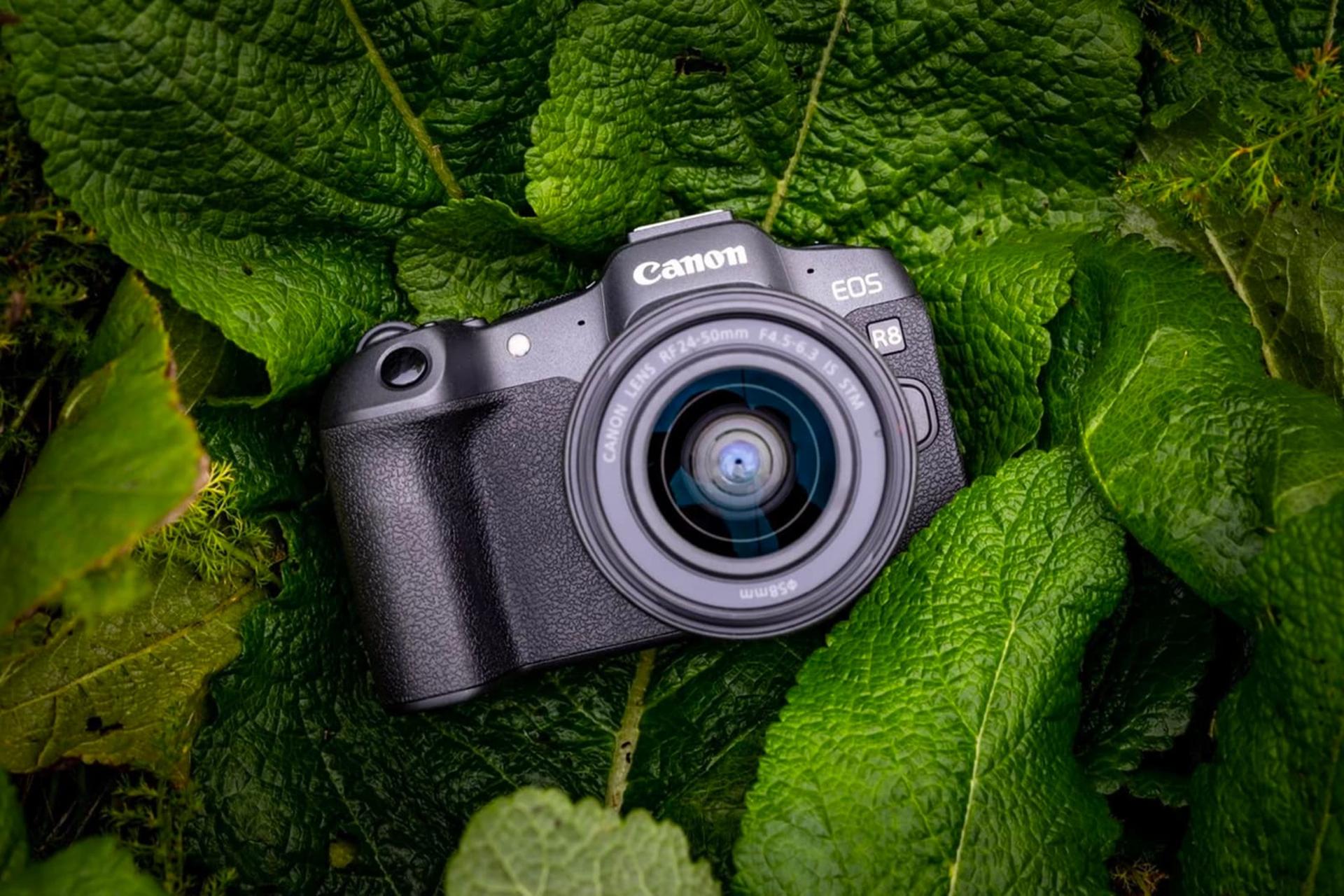 دوربین کانن Canon EOS R8 از نمای جلو در میان برگ ها