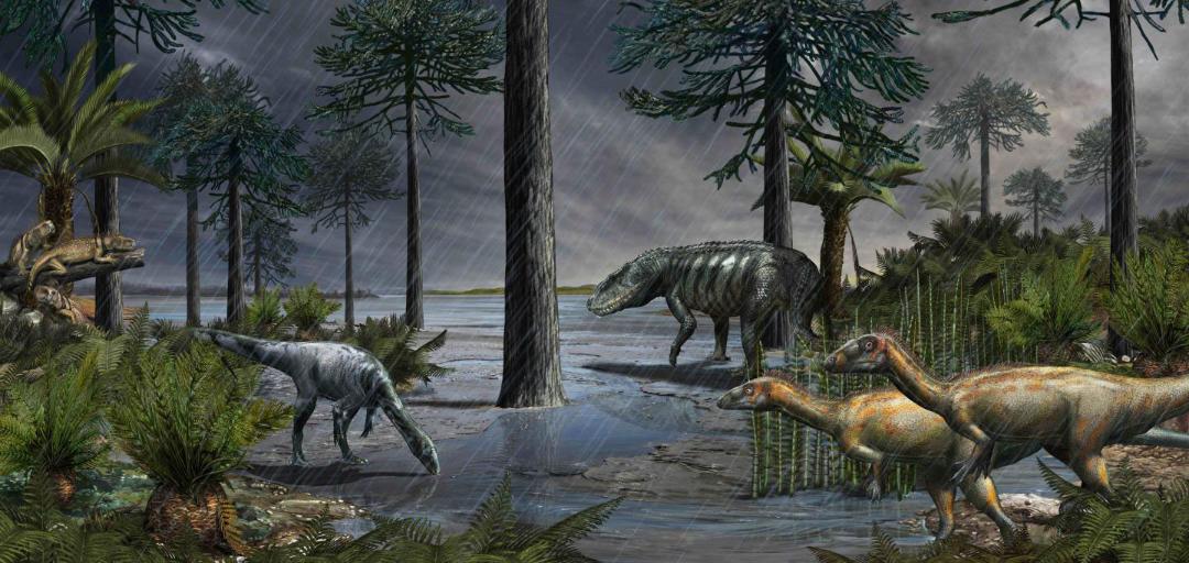 بخش carnian pluvial