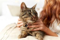 ارتباط بین داشتن گربه و اسکیزوفرنی واقعیت دارد