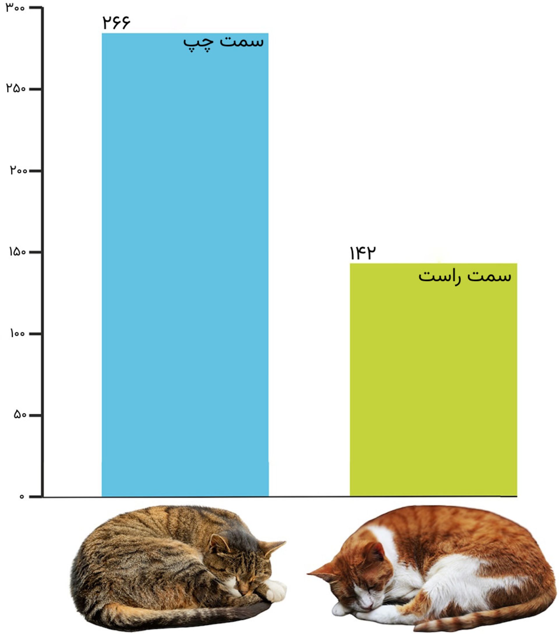 اینفوگراف ترجیح گربه‌ها به خوابیدن روی پهلوی چپ یا راست