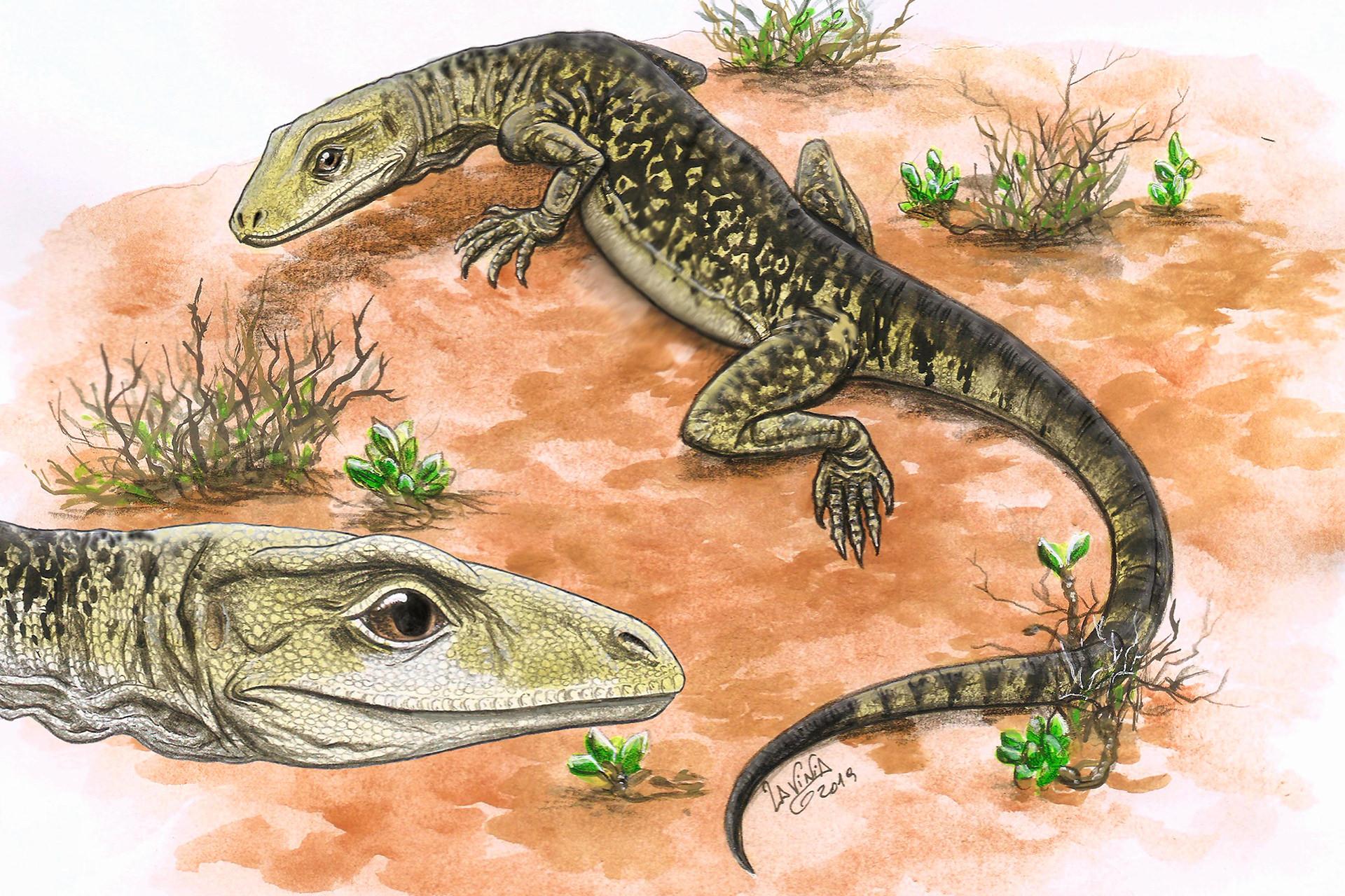 فسیل ۲۰۵ میلیون ساله، تاریخ ظهور مارمولک‌ها را بازنویسی می‌کند