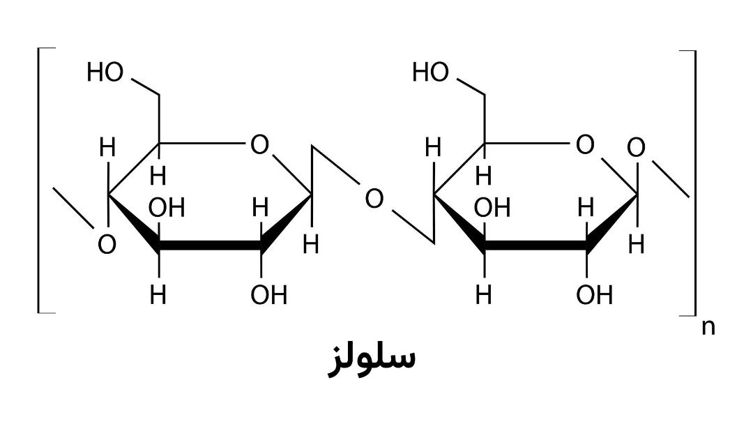 ساختار سلولز