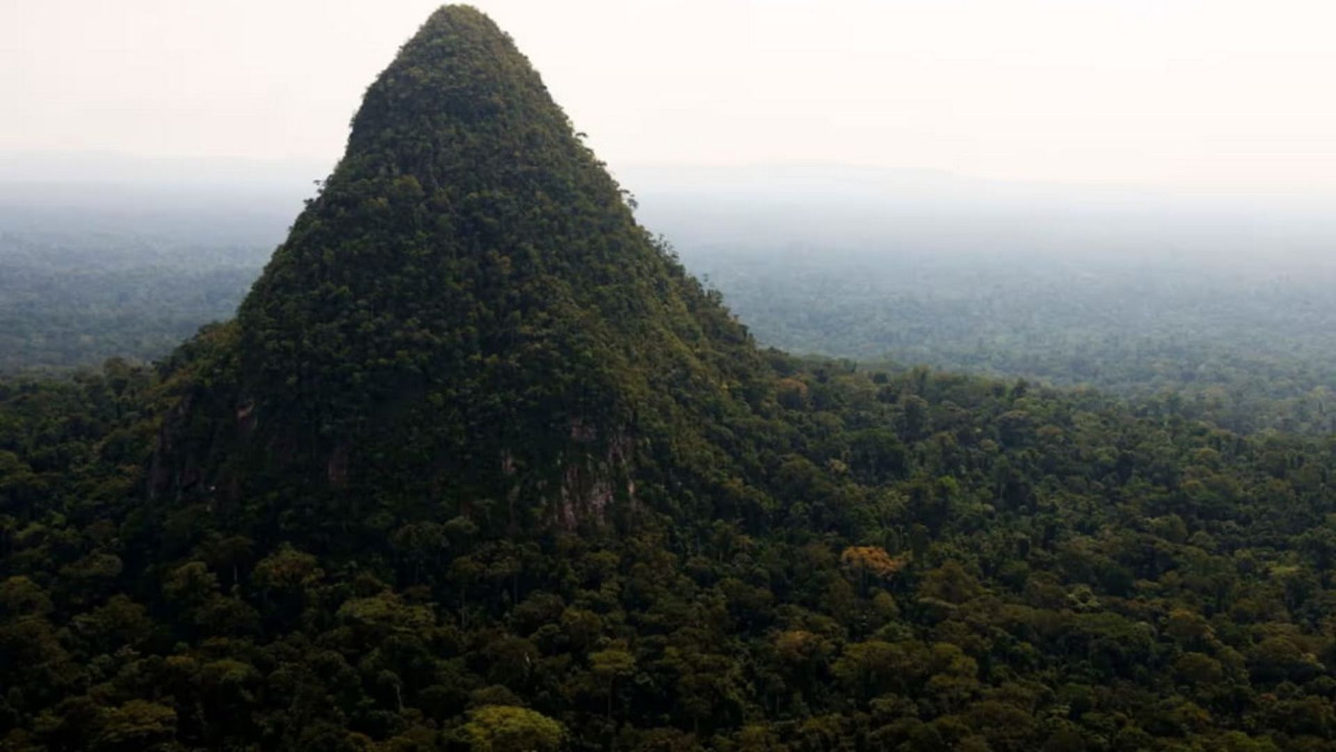 کوه سرو اِلونو پوشیده از درخت در آمازون