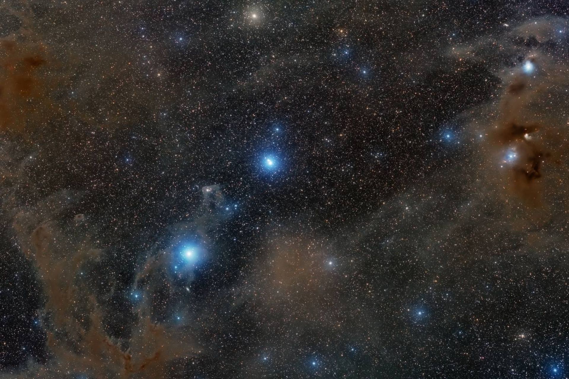 ابر مولکولی تاریک آفتاب پرست