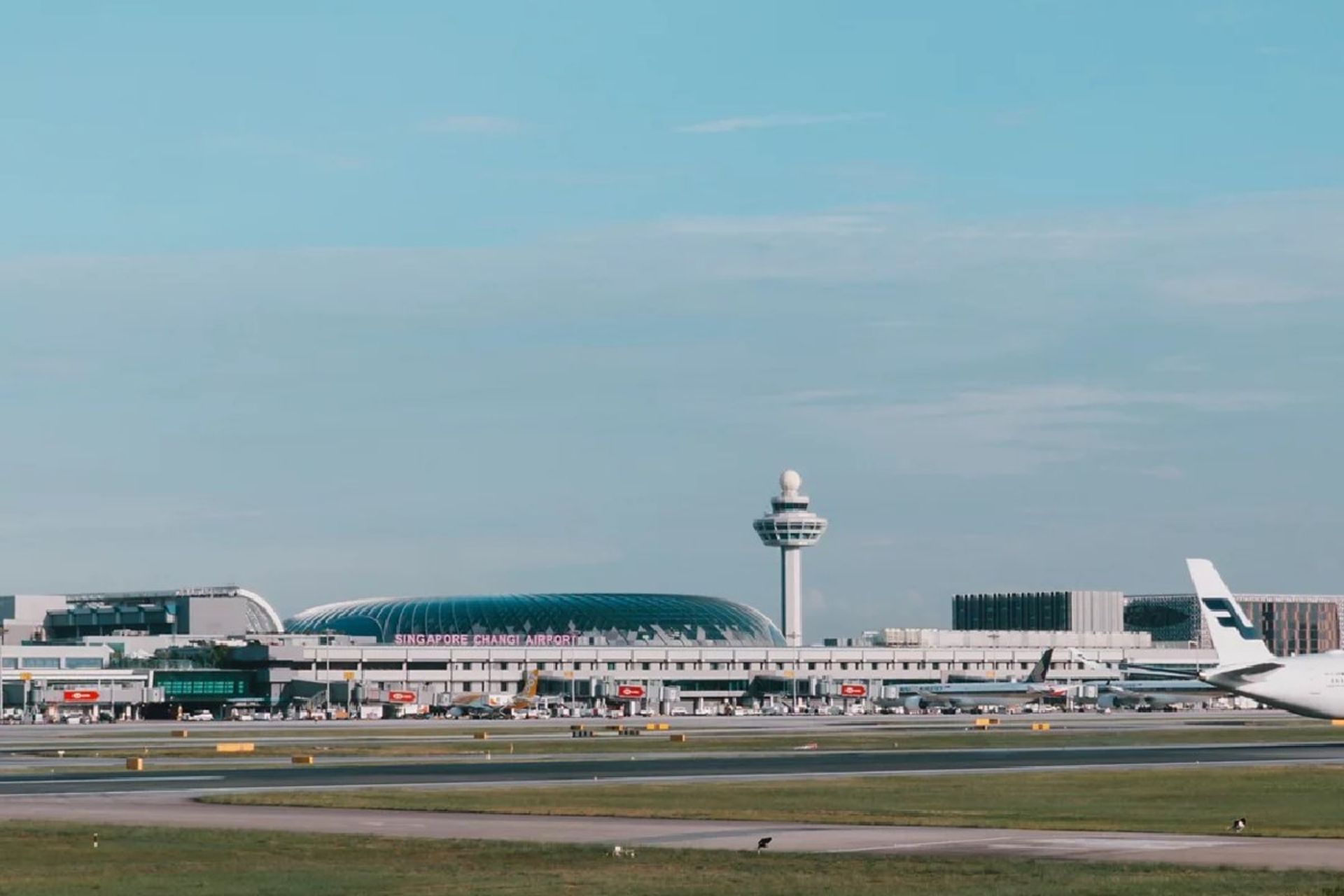 فرودگاه چانگی سنگاپور
