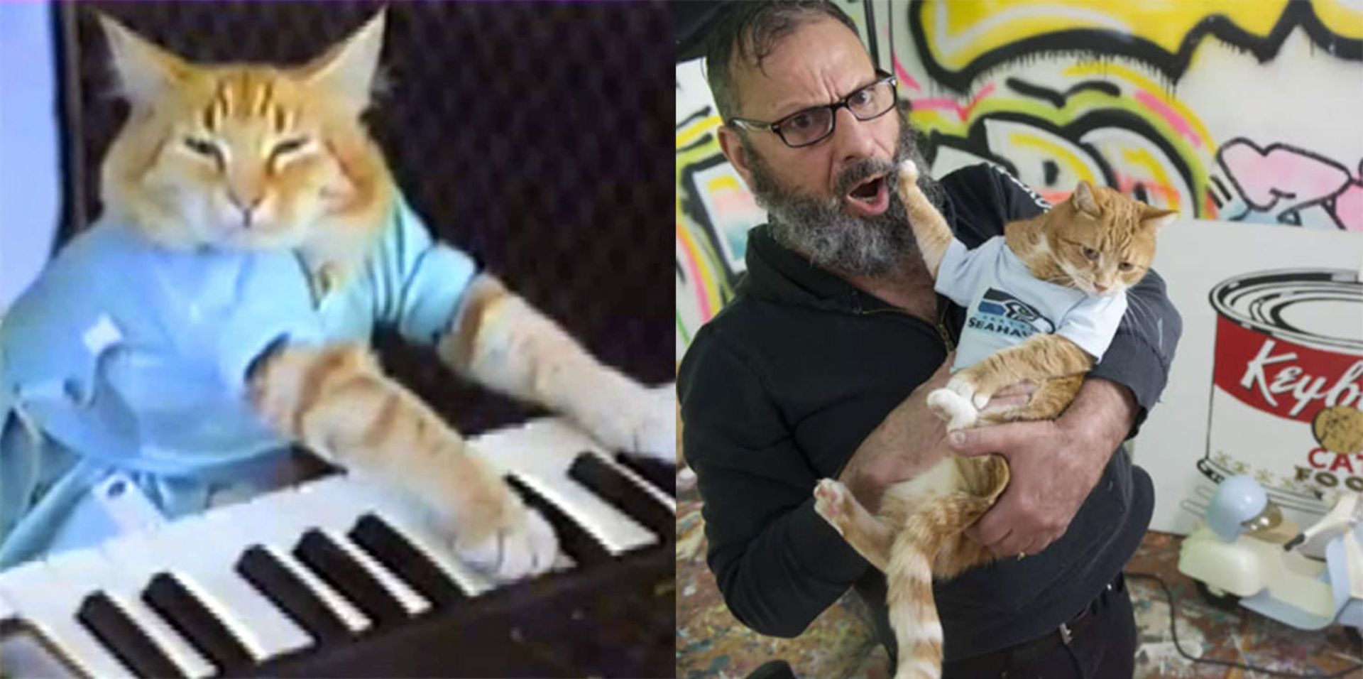 گربه کیبوردنواز گربه‌ای در آغوش مرد