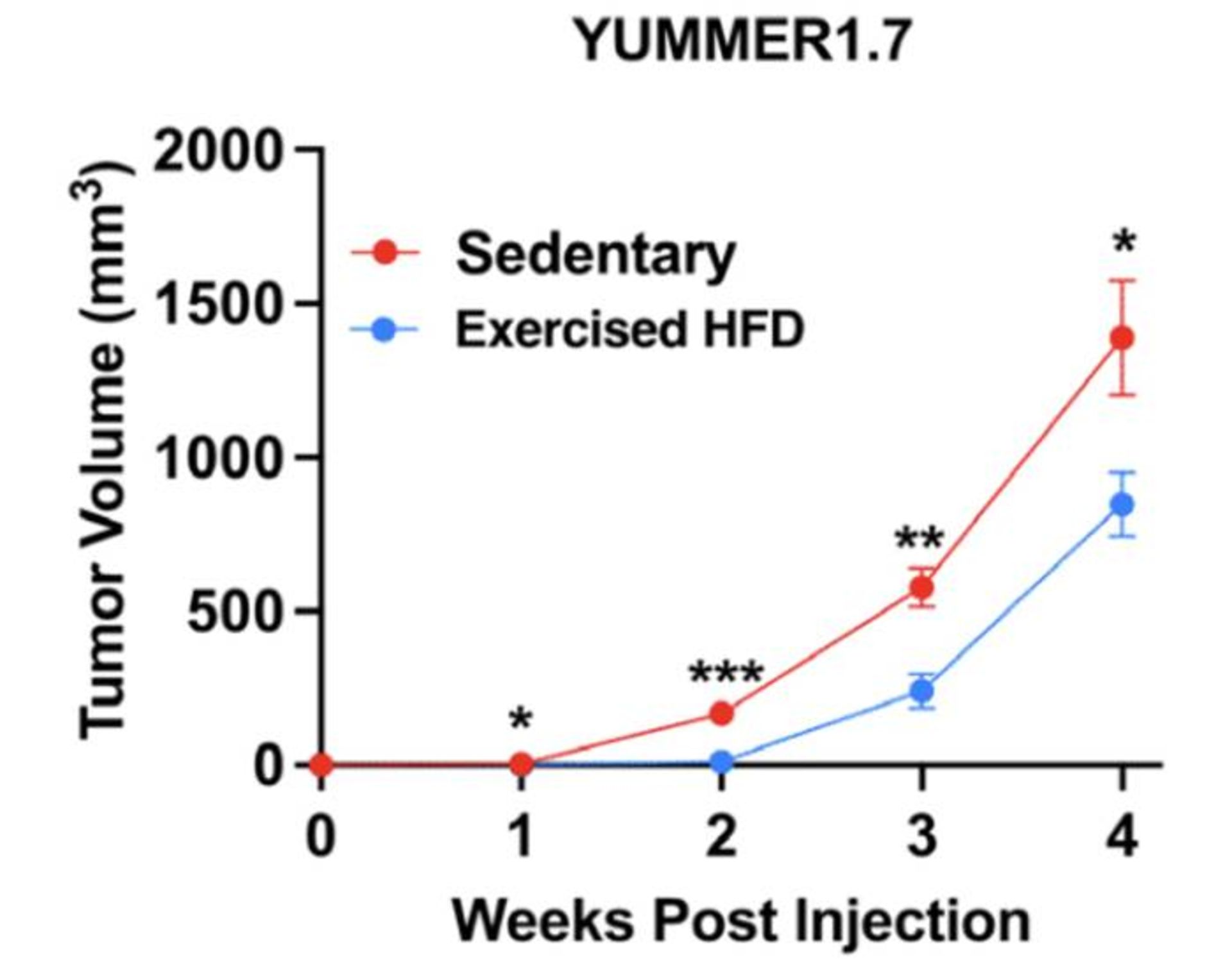 اندازه تومورها در موشهای مورد آزمایش
