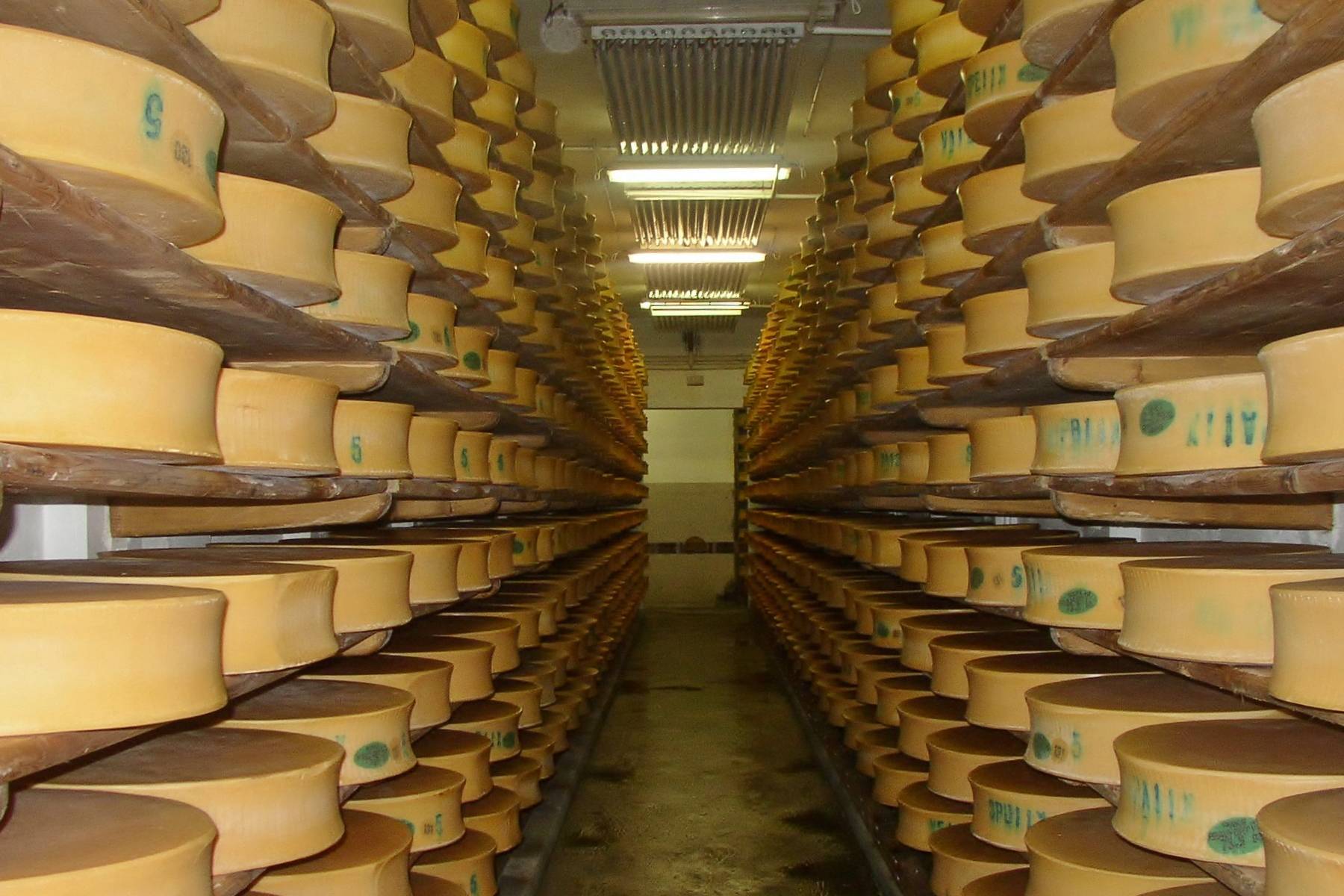 راز غارهای پنیر دولتی آمریکا: ۶۰۰ میلیون کیلوگرم پنیر در دل زمین چه می‌کند؟