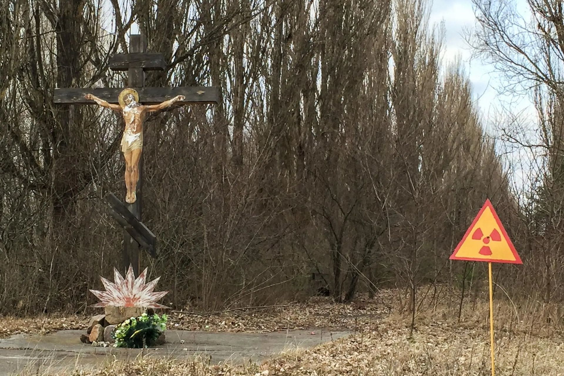 جنگل سرخ چرنوبیل