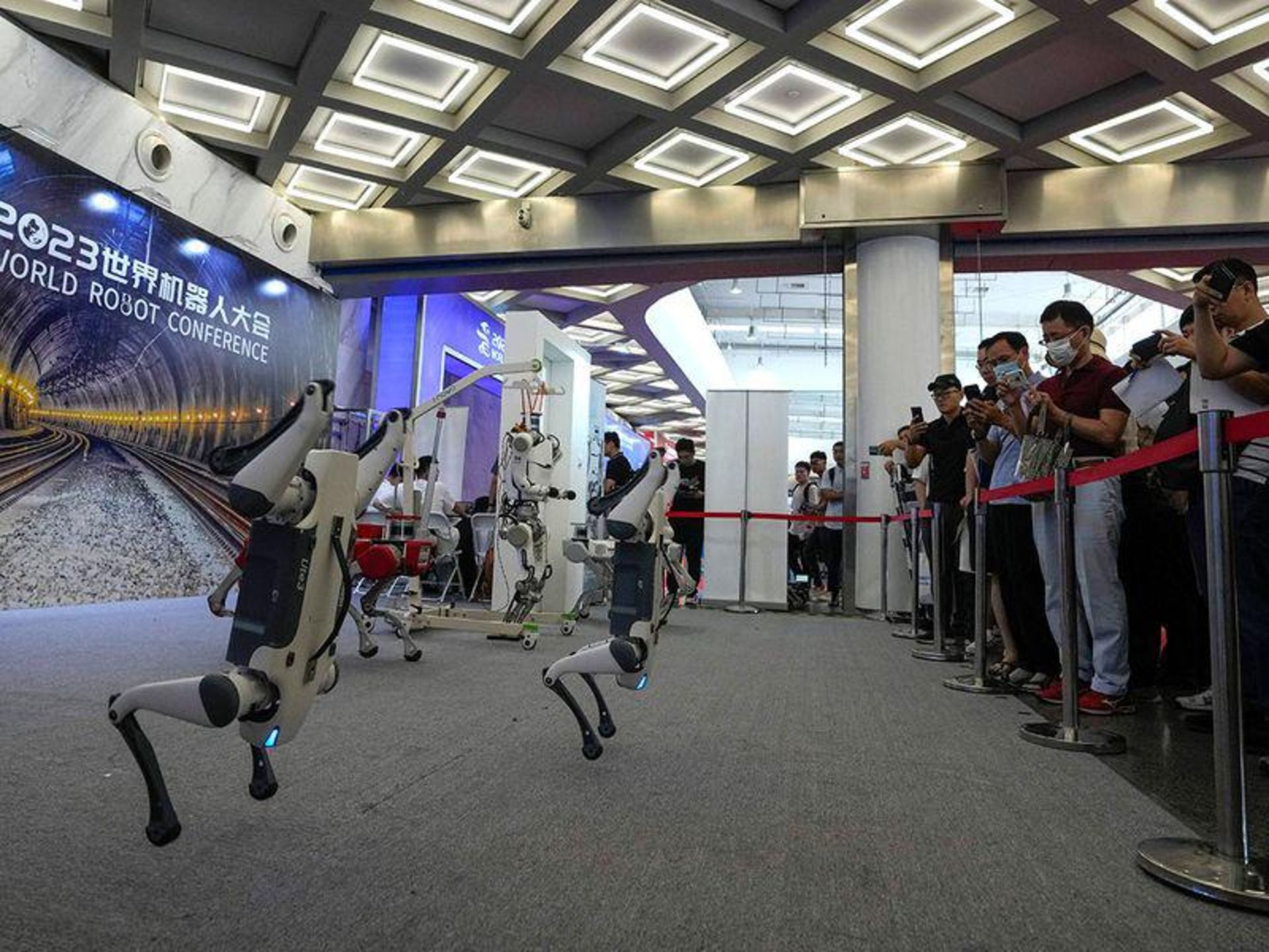 سگ های رباتیک در رویداد رباتیک پکن ۲۰۲۳