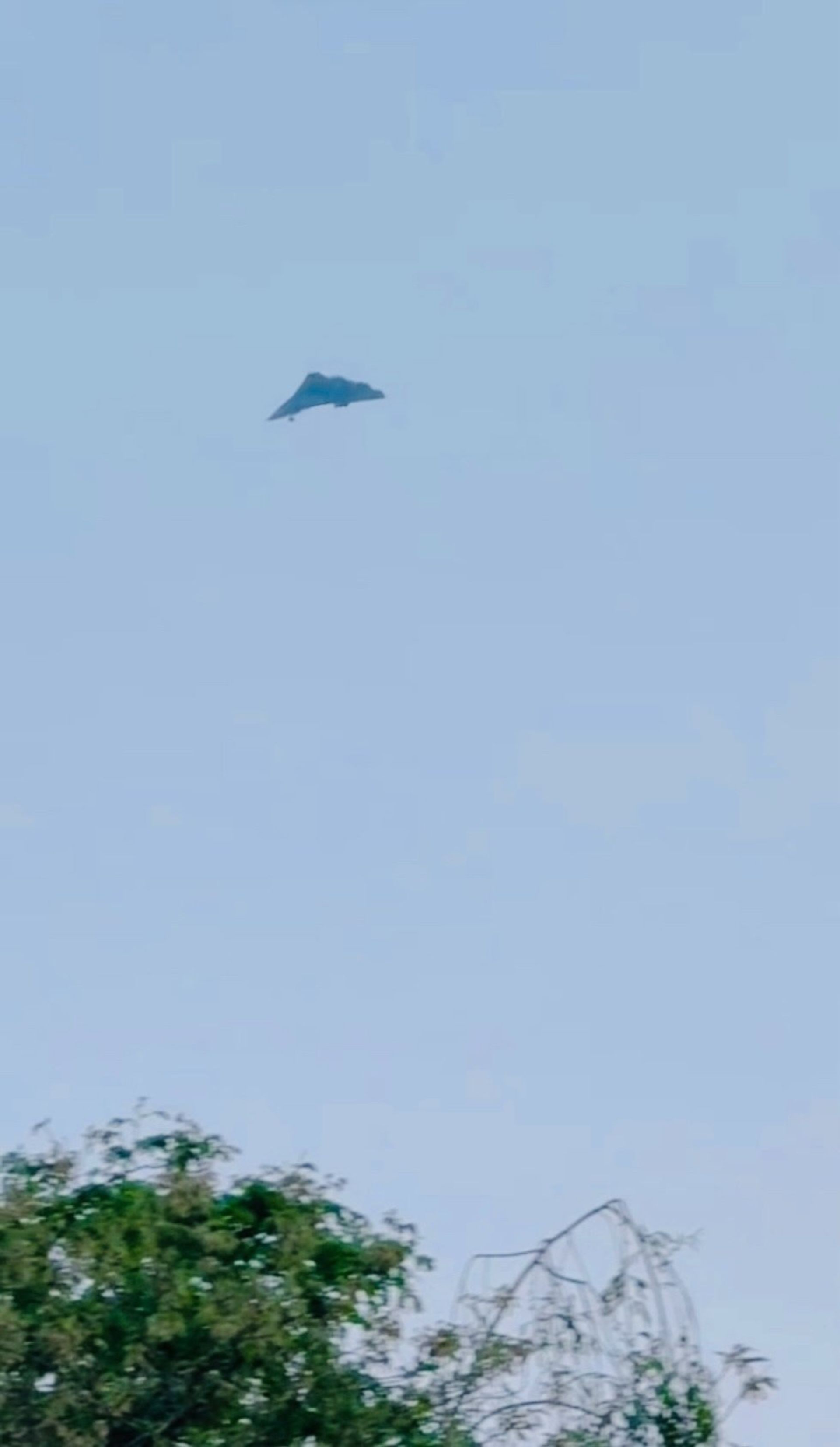 جنگنده‌ی پنهان‌کار چینی در آسمان