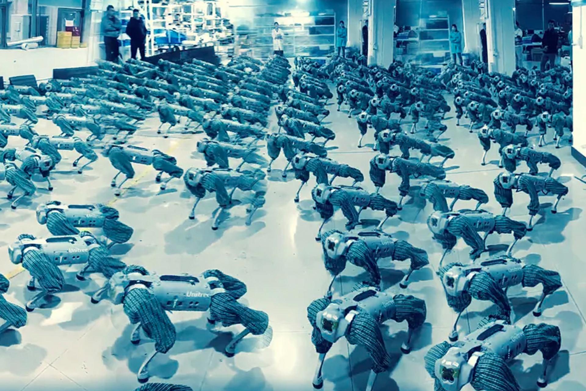 شنا سوئدی سگ‌های رباتیک چینی؛ هیجان‌انگیز و ترسناک