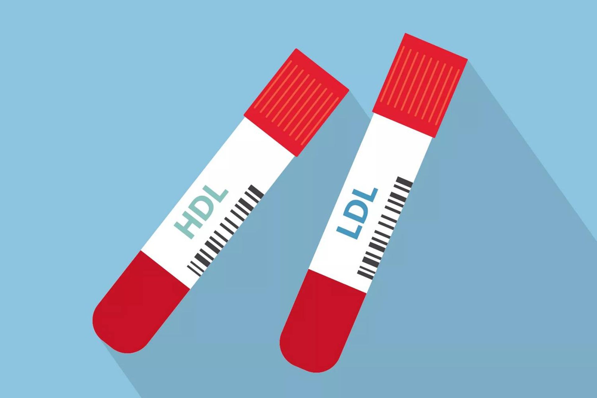 کلسترول HDL و LDL