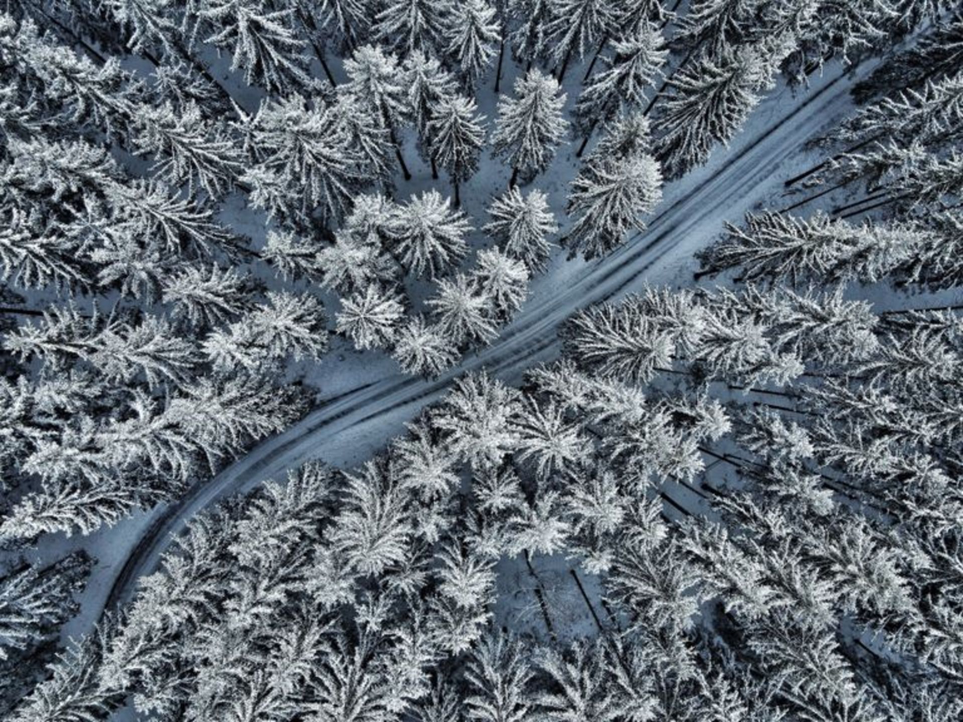 منظره زمستانی برفی اتریش