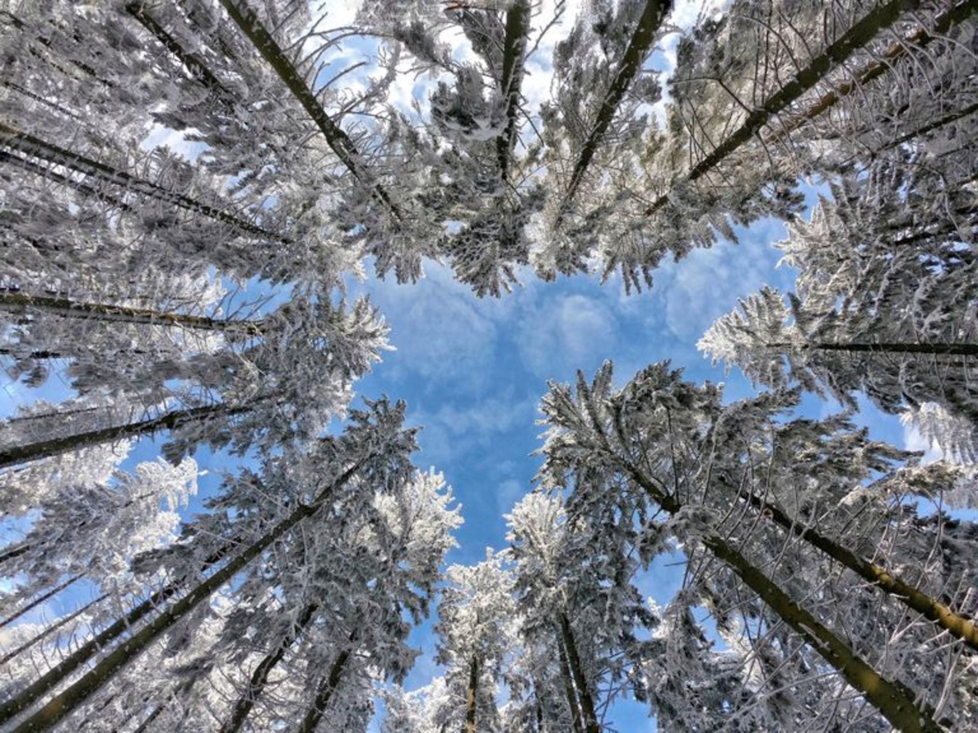 نفر اول- برنده مسابقه  CEWE Photo Award 2023