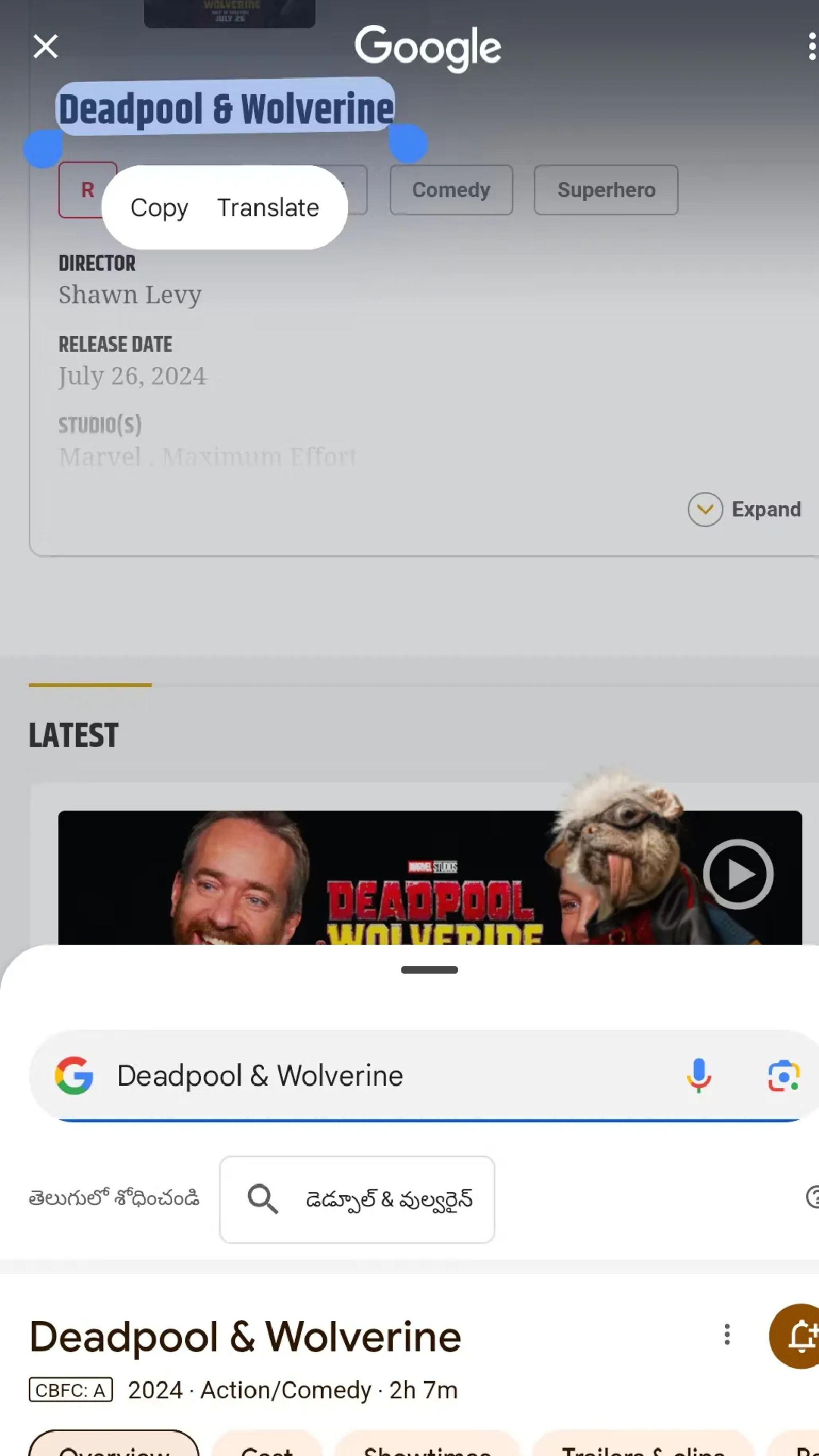 ایستر اگ داگ‌پول در قابلیت circle to search