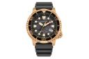 ساعت مچی مردانه سیتیزن Promaster Diver Eco-Drive BN0163-00H نمای جلو