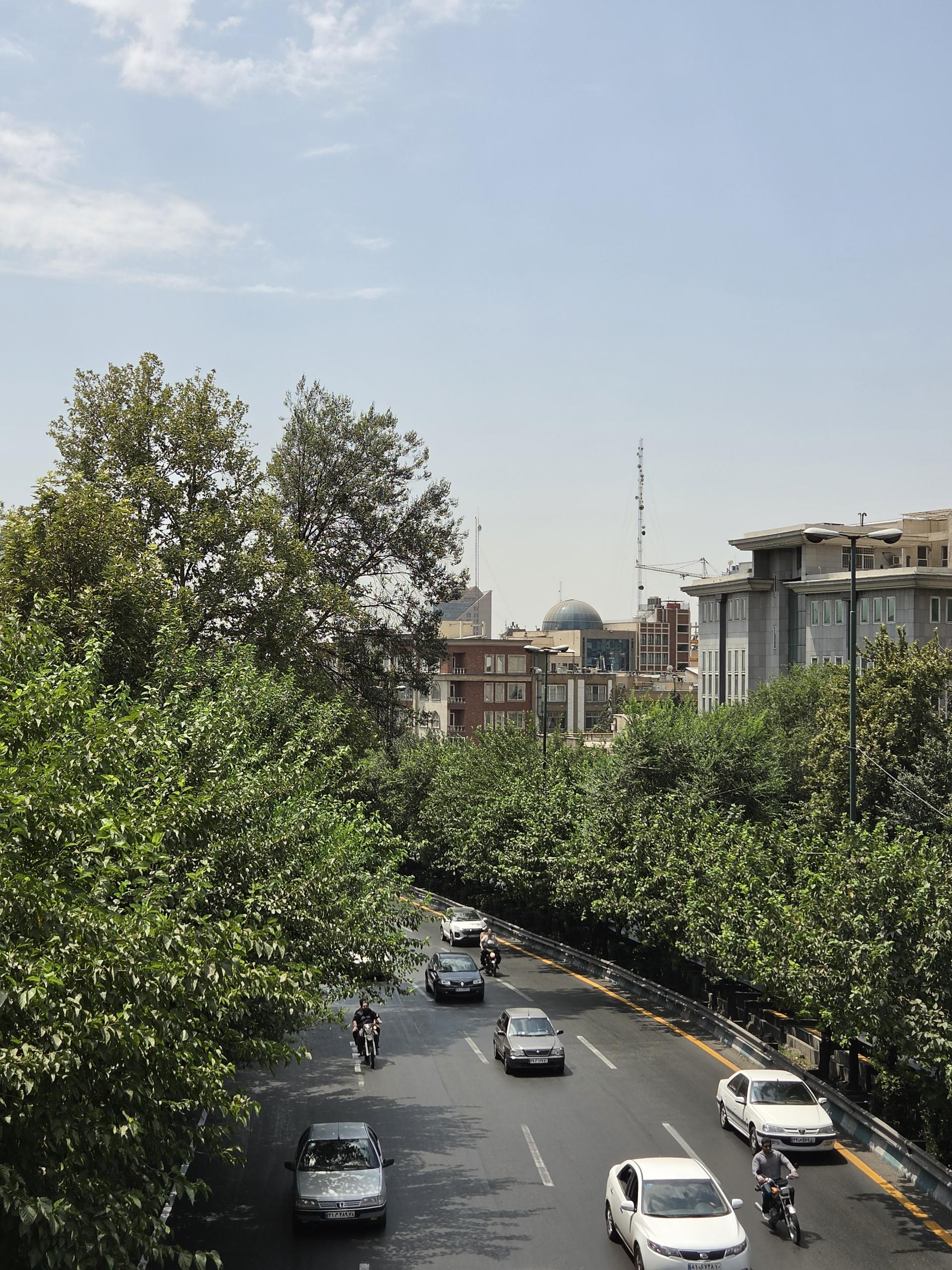 بلوار پردرخت با خودروهای در حال حرکت در میان درختان سبز