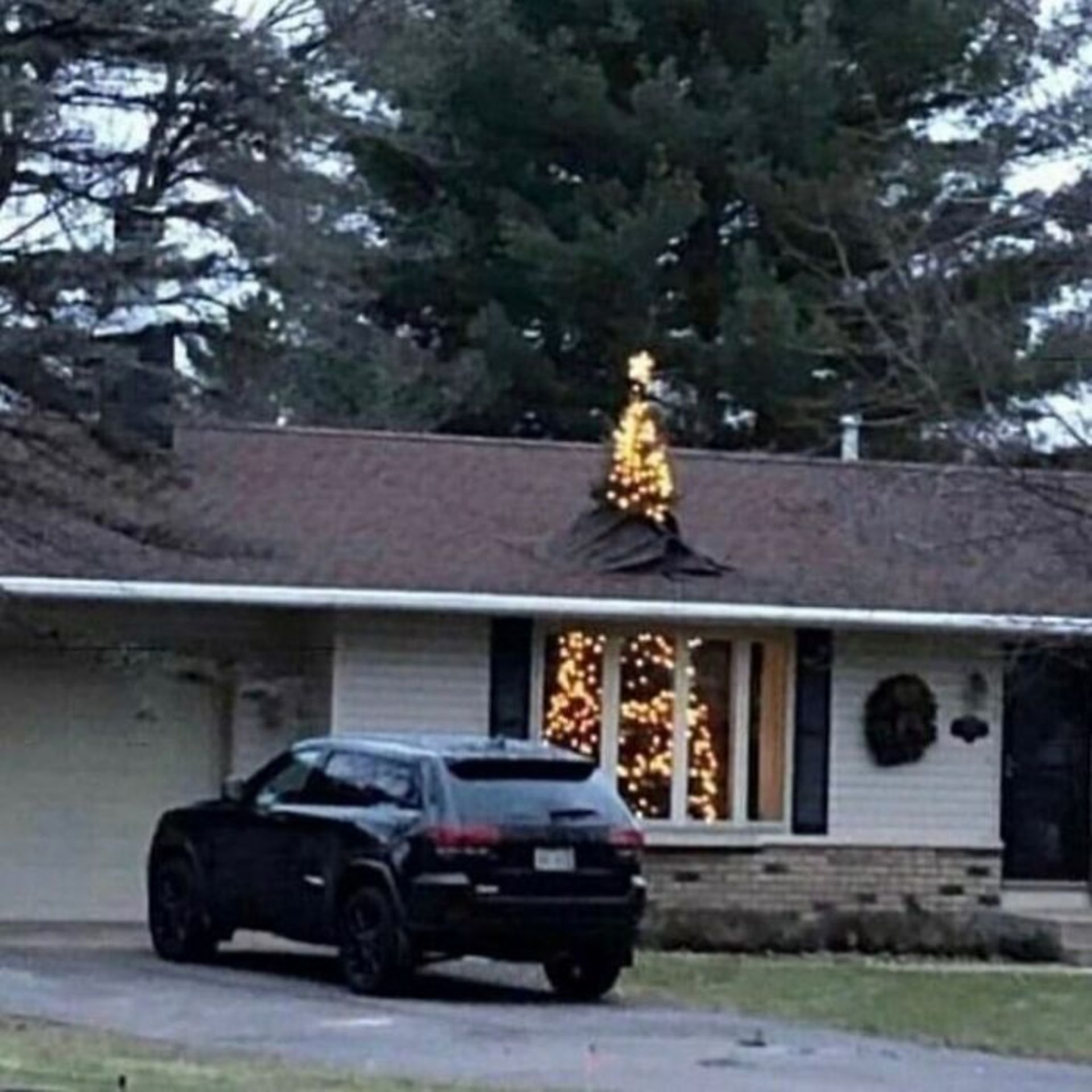 بیرون زدن سر درخت کریسمس از سقف