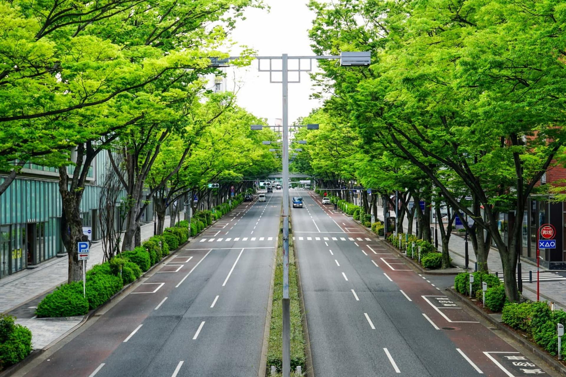 چرا ژاپن اینقدر تمیز است