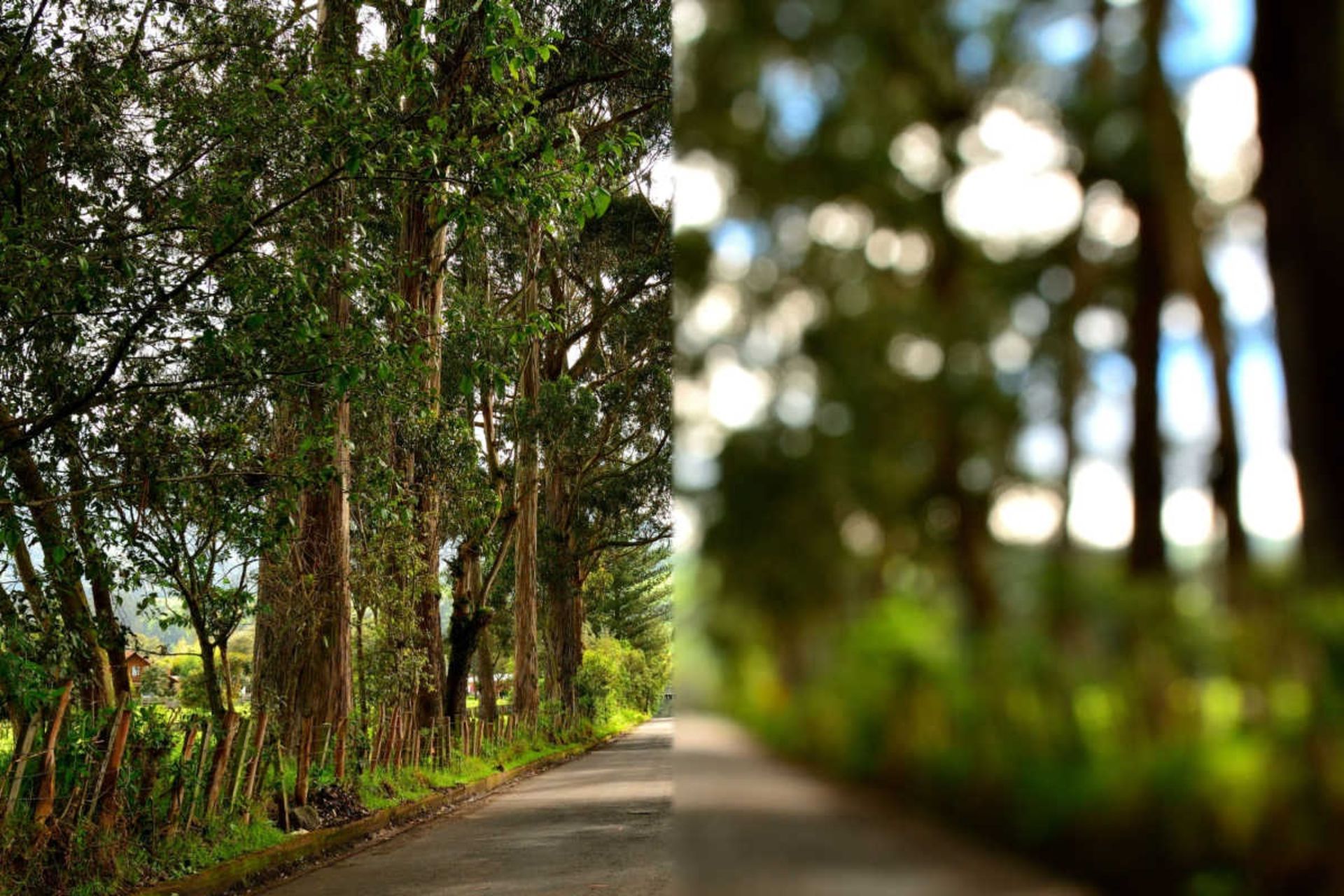 علت تاری دید ناگهانی در یک چشم