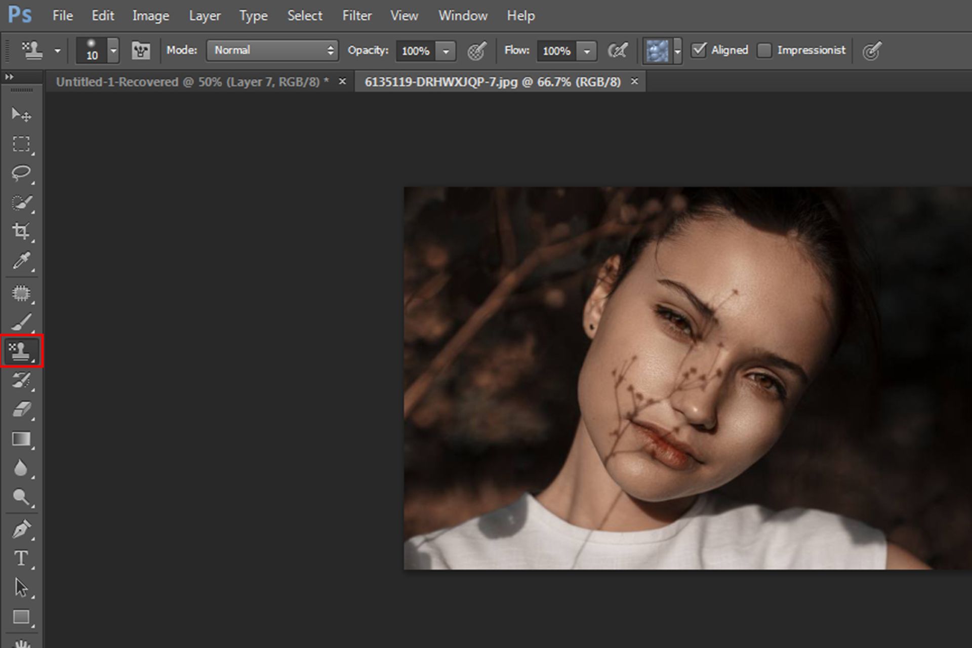 ابزار Clone Stamp Tool
