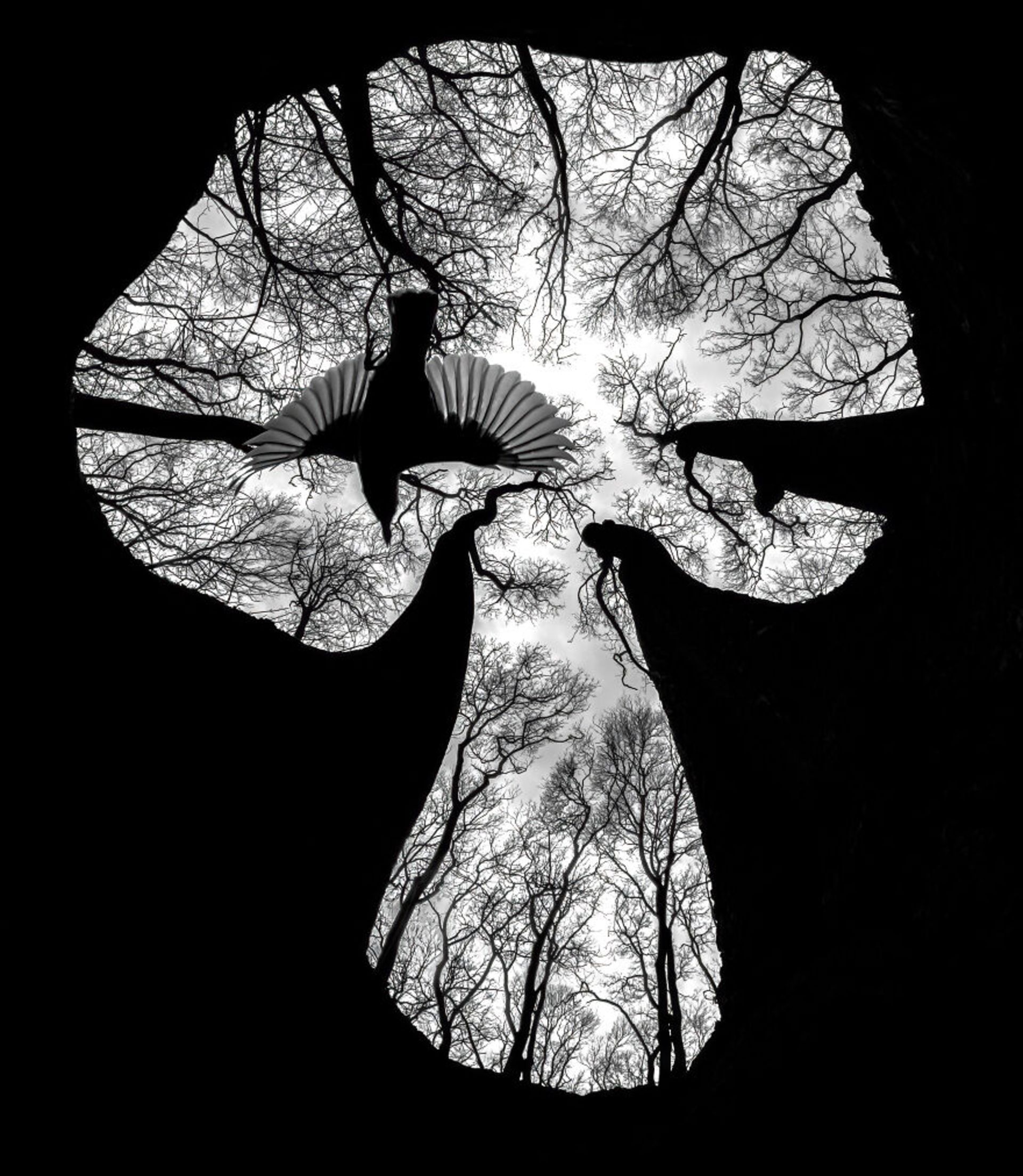 برندگان مسابقه عکاسی کلوزآپ ۲۰۲۳