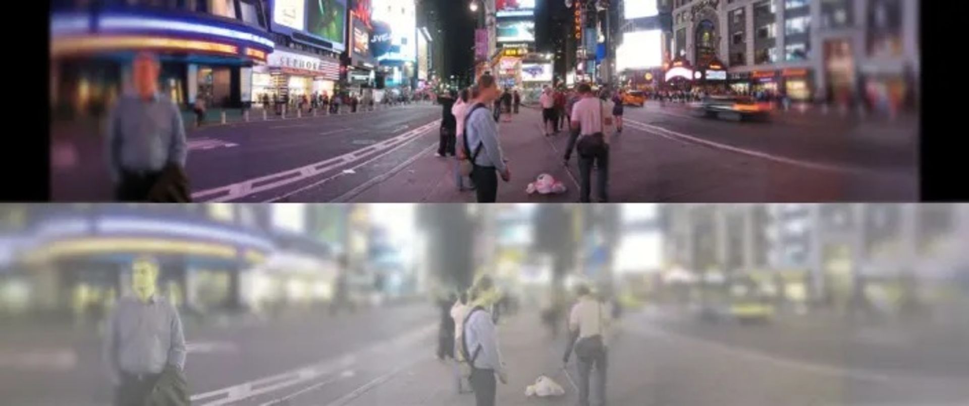 مقایسه دید رنگی گربه با انسان