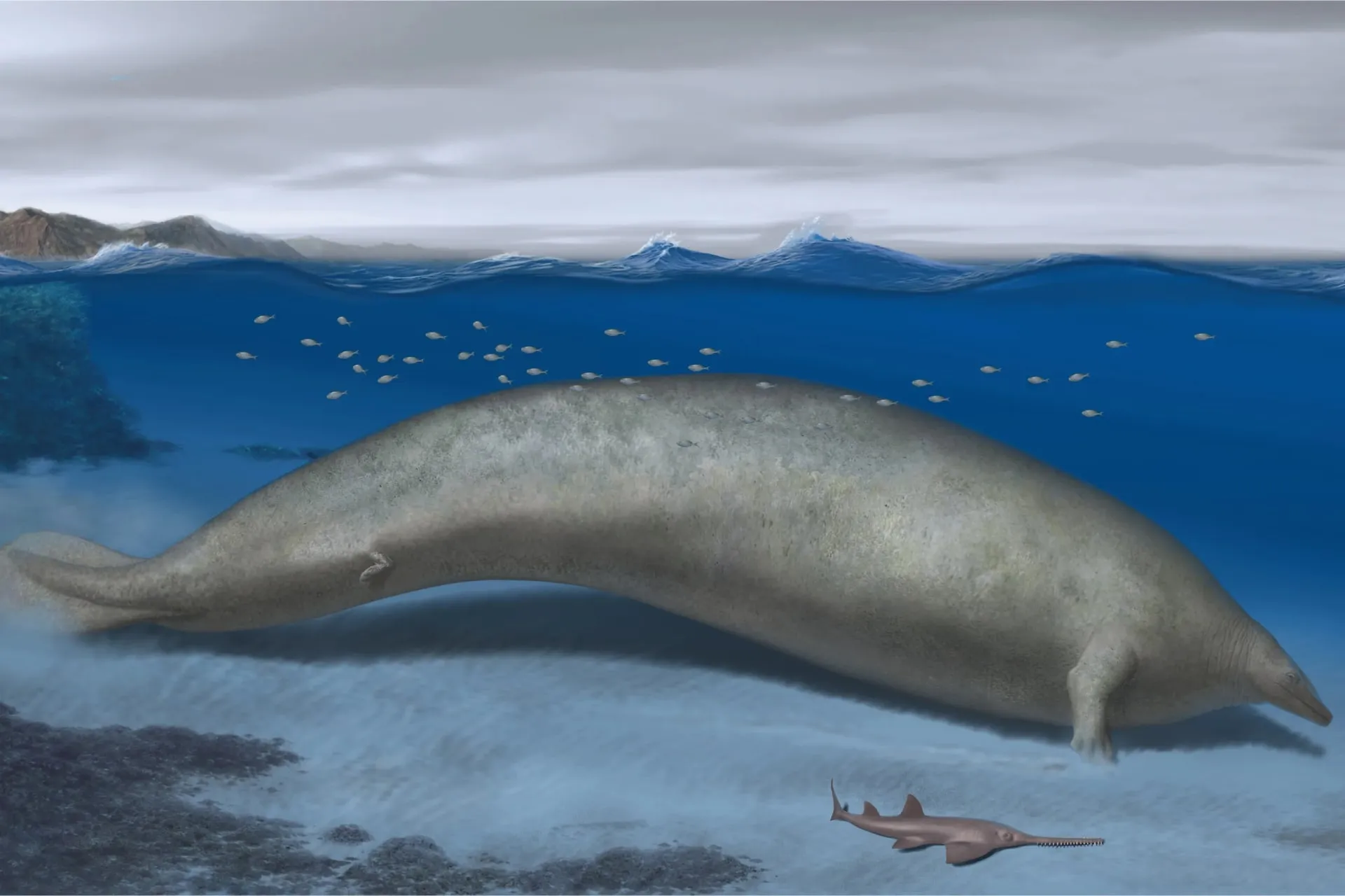 تصویرسازی هنری نهنگ غول پیکر منقرض شده