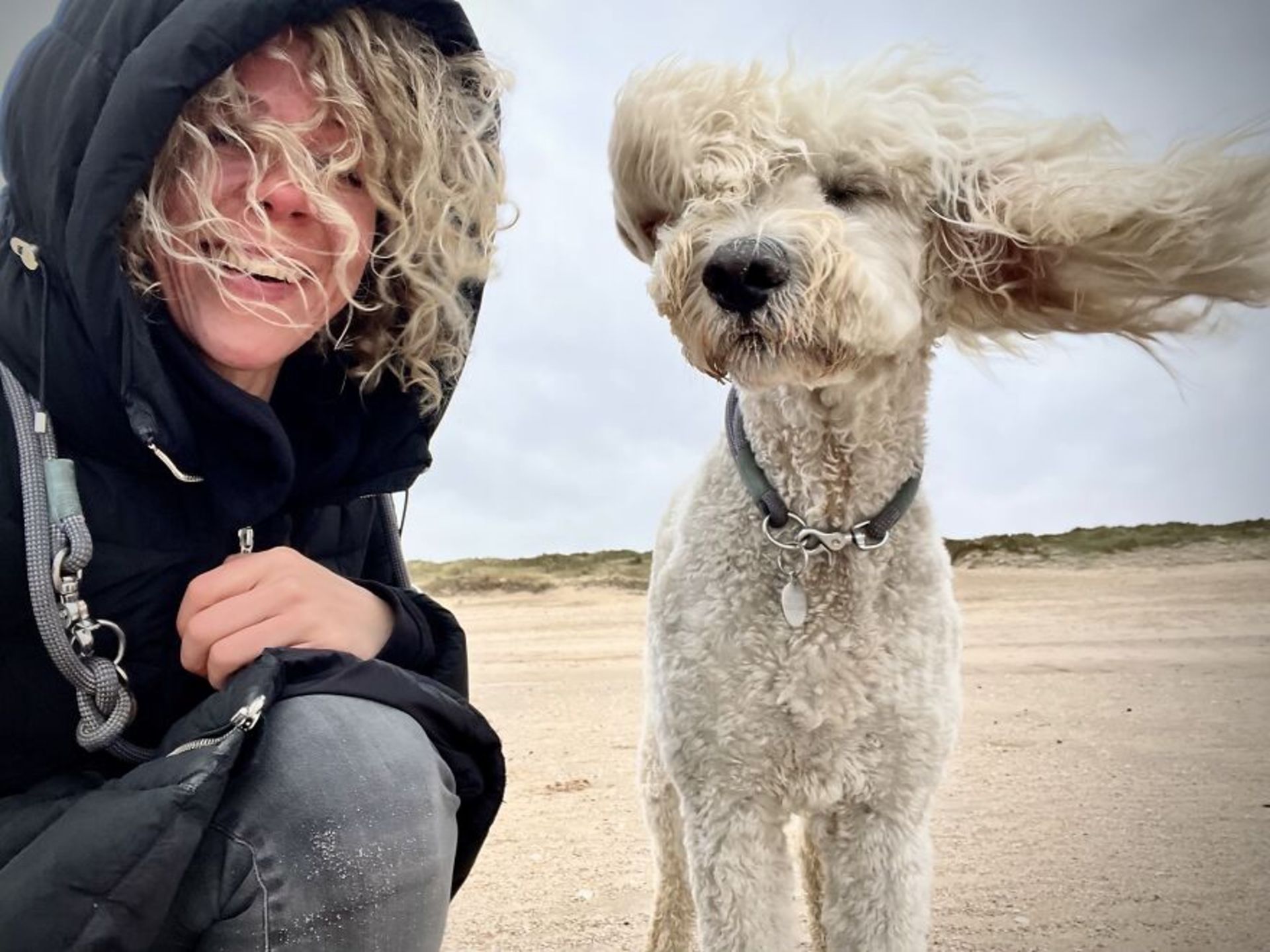 سگ و دختر فرفری بلوند در ساحل با موهای پریشان