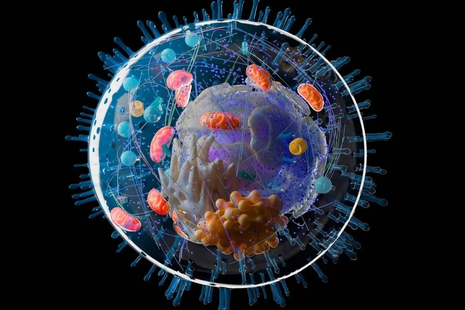 تصویرسازی از اشکال حیات پیچیده