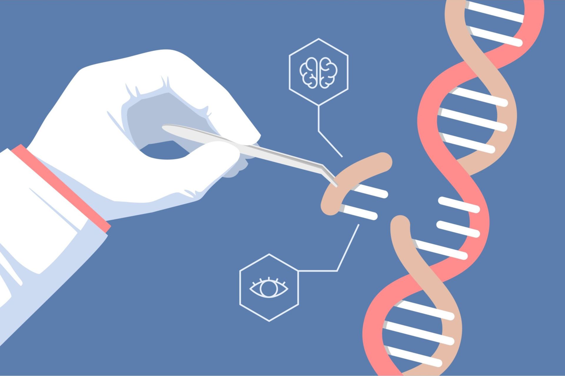 عکس مفهومی از درمان و تنظیم DNA