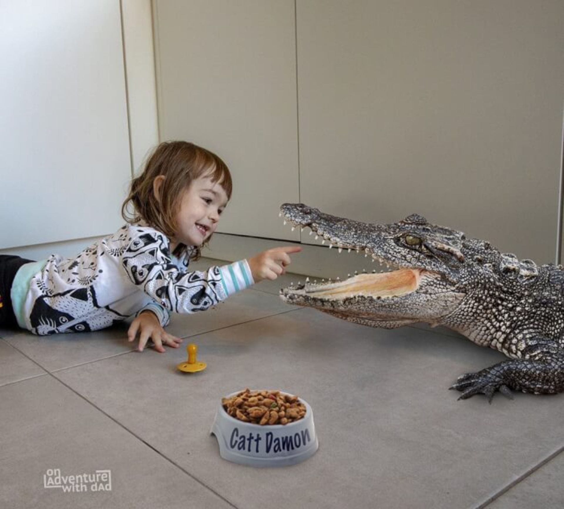 غذا دادن بچه به تمساح