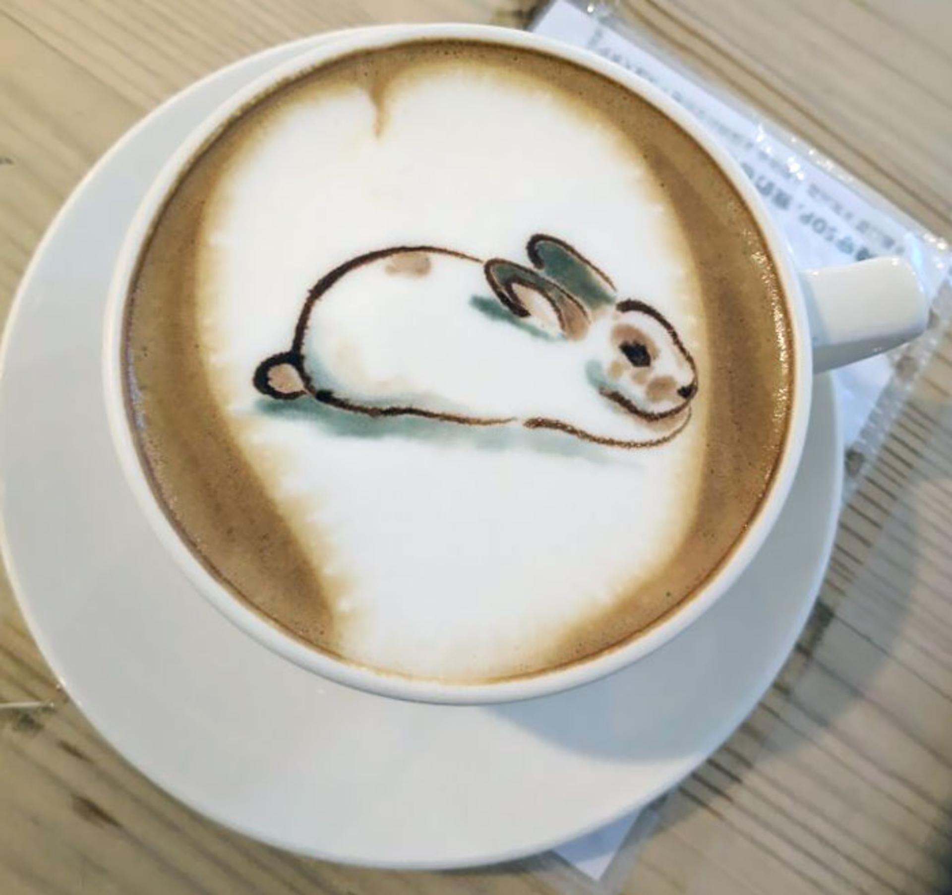 لاته آرت خرگوش