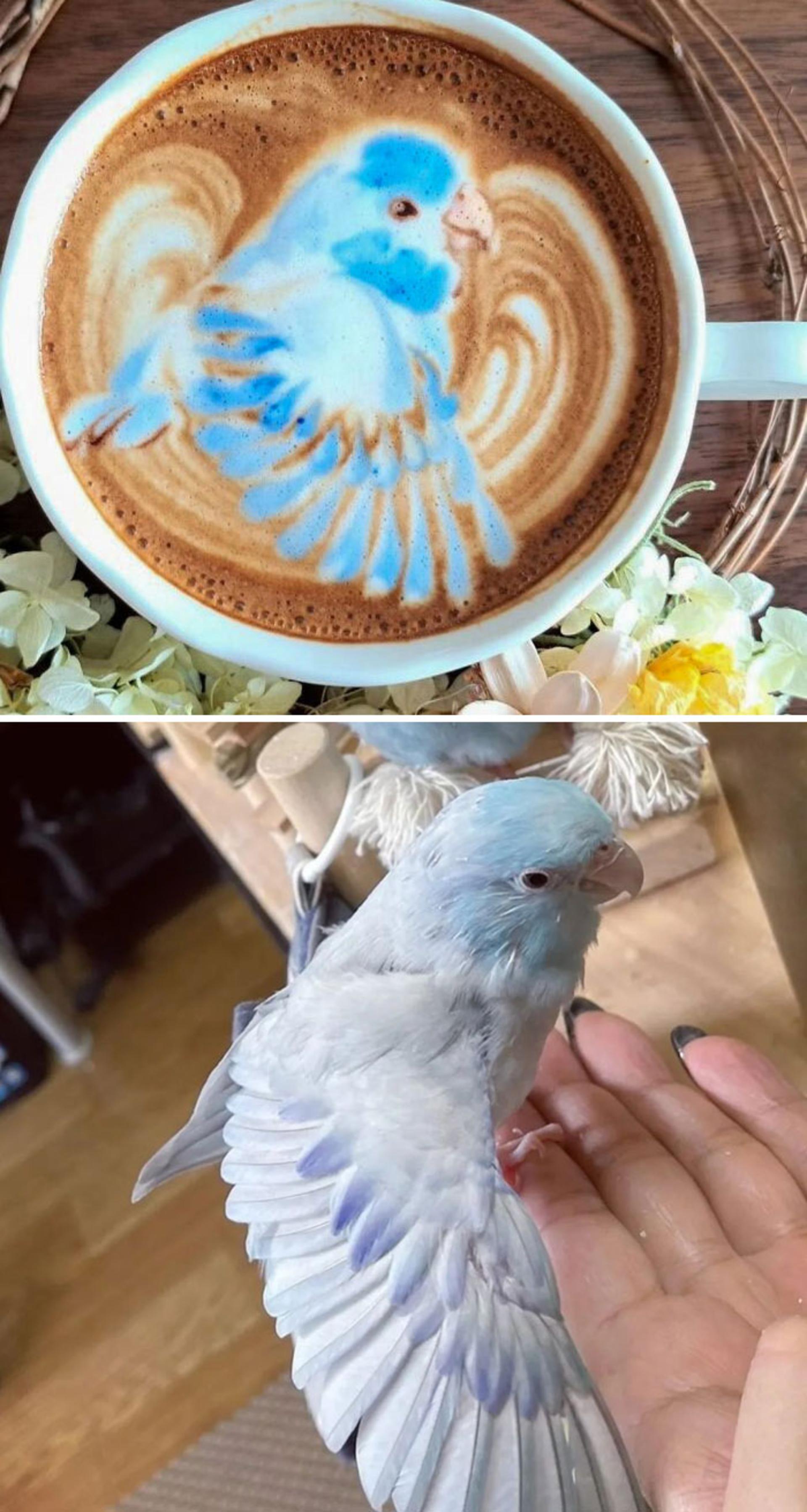 لاته آرت سه بعدی پرنده